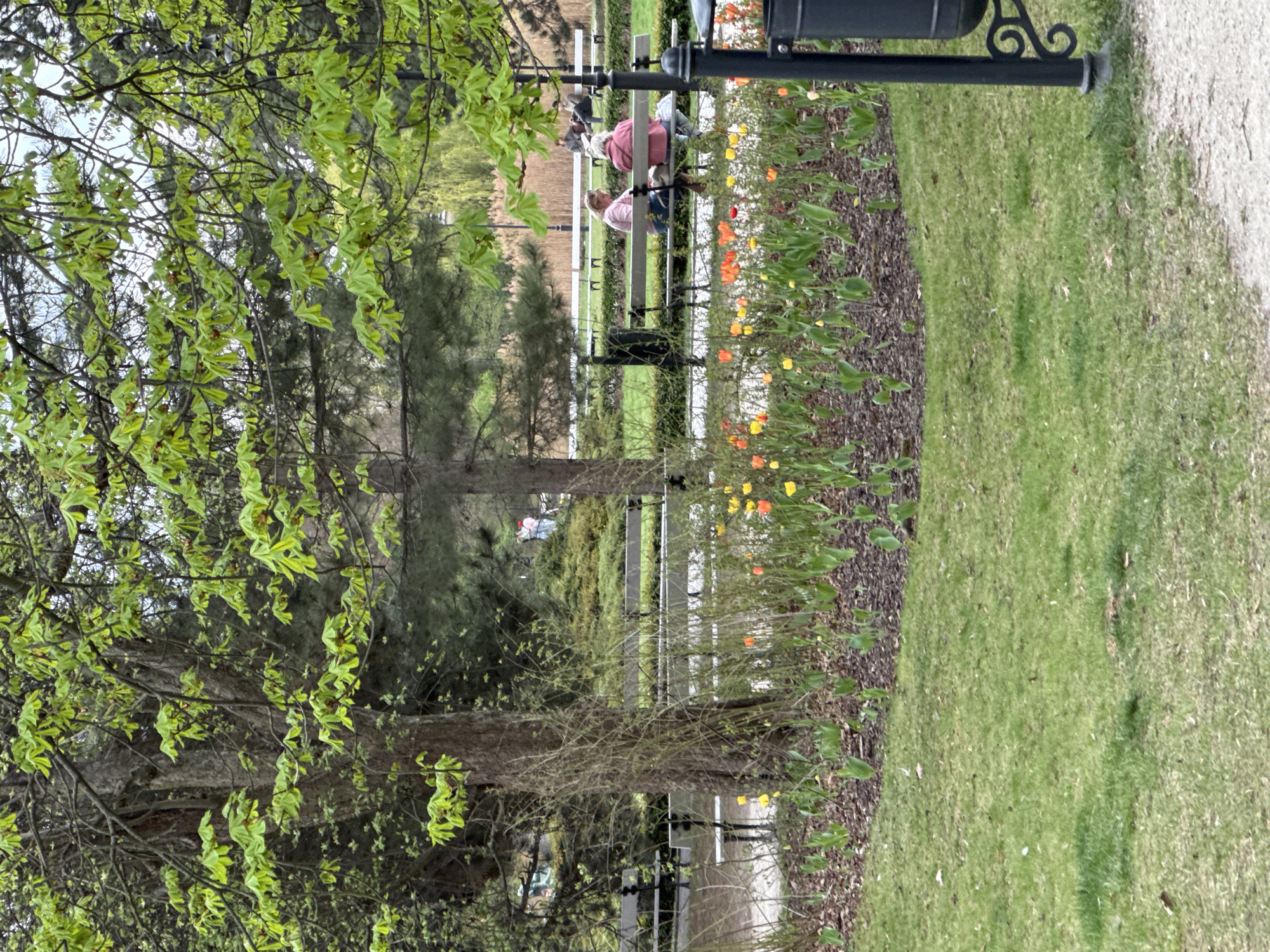 The image depicts a park scene in Warsaw, Poland, characterized by a green lawn and foliage. A park bench occupied by two people is visible. The foreground features a tree with budding green leaves, while the background includes a path, more benches, and distant greenery. Flowers, possibly tulips, are planted along the edge of the lawn adjacent to the bench. A black lamppost is positioned next to the lawn.