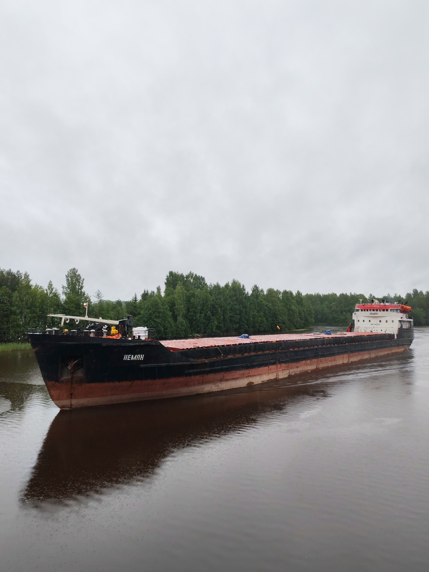 A wide, dark-hulled barge, identified by the Cyrillic lettering "NEMAN" on its side, is traversing a calm, brown body of water. The barge is loaded with what appears to be cargo covered by a red tarp, with several blue tarpaulin-covered items visible on deck. A white superstructure with a red roof is situated towards the stern of the vessel. The barge is moving from left to right in the frame, casting a large, dark reflection on the water. The background features a dense line of lush green trees and vegetation, suggesting a rural or natural setting. The sky is overcast and gray. The location is Devyatiny, Russia.