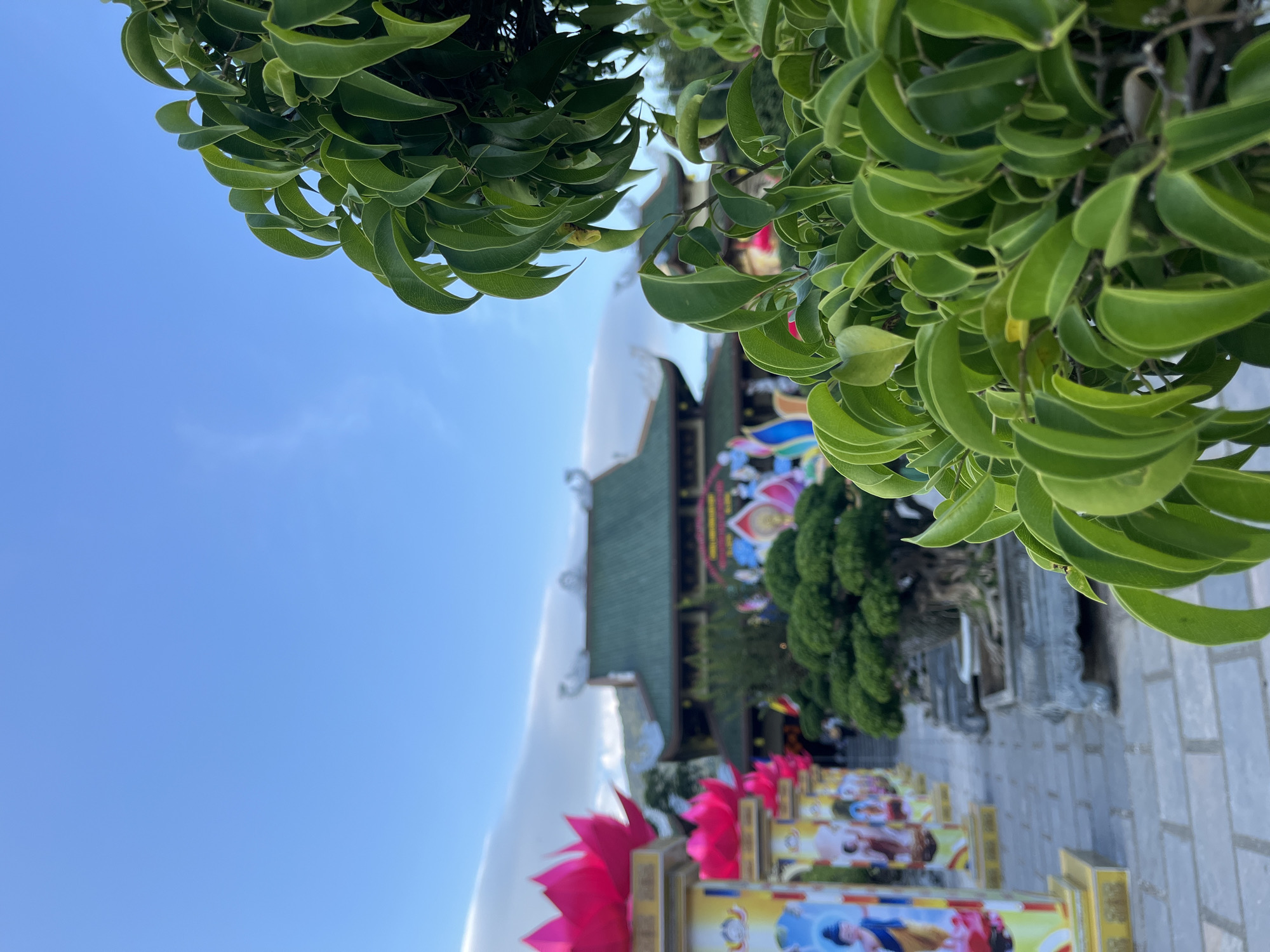 The image depicts a building, possibly a temple, in Đà Nẵng, Vietnam, viewed from a low angle, partially obscured by foliage in the foreground. The building has a green roof, and is adorned with colorful decorations including pink lotus flower displays. A row of decorated displays lines a brick walkway leading to the building. The sky is visible in the upper left corner. The angle is slightly off, with the image rotated to the side.