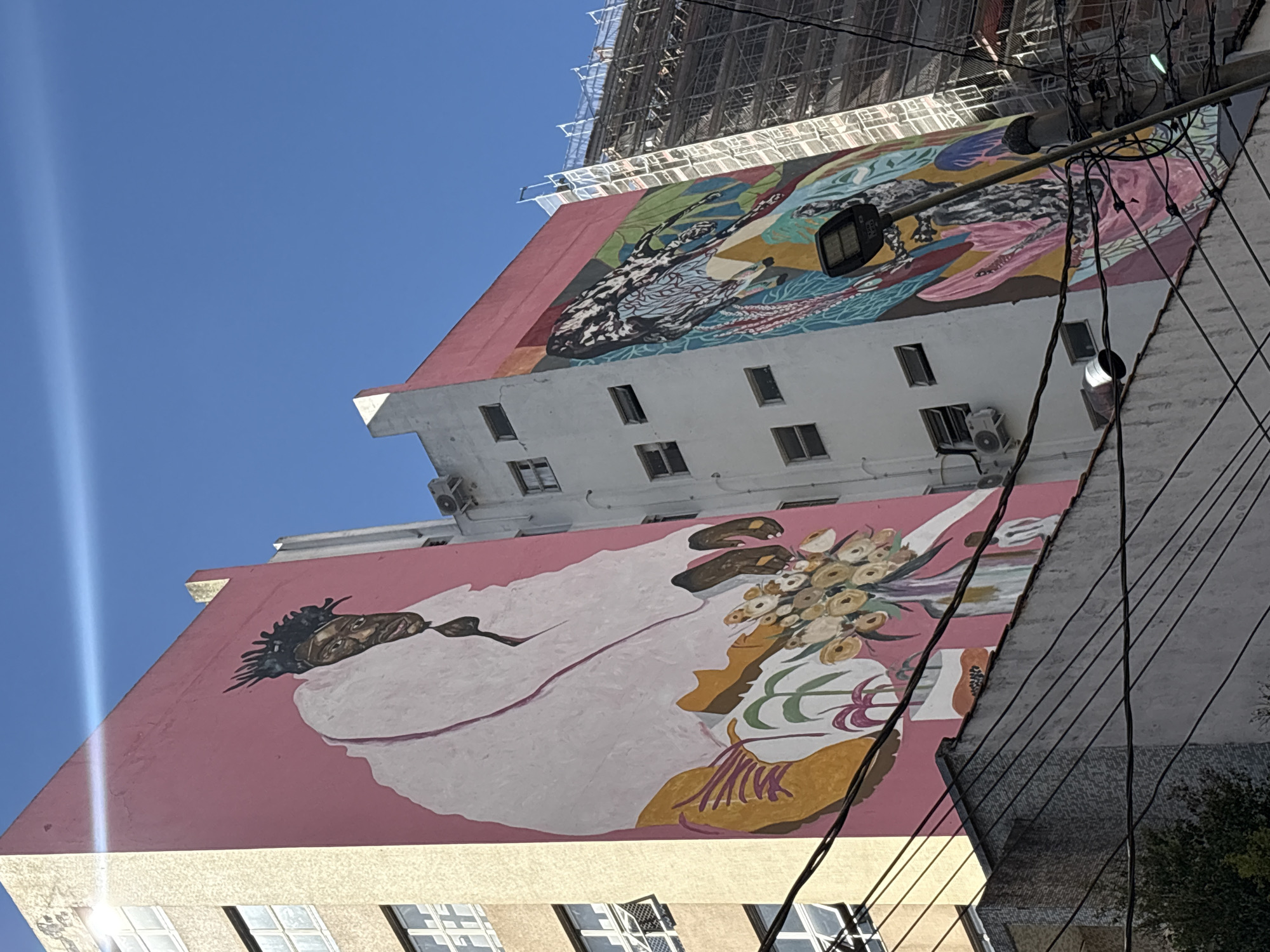 The image shows a low-angle view of two buildings in São Paulo, Brazil, adorned with large-scale murals. The building on the left is lighter in color and features a mural of a person with dark, textured hair and a pale, draped garment, holding a bouquet of flowers in front of a bright pink background. The building on the right, which is white, displays a vibrant, abstract mural with a palette of colors including blues, greens, pinks, and black and white patterns. In the background, a building covered in scaffolding suggests ongoing construction or renovation. Electrical wires crisscross the foreground, obscuring the lower parts of the buildings and the street level. The sky is a clear, bright blue.