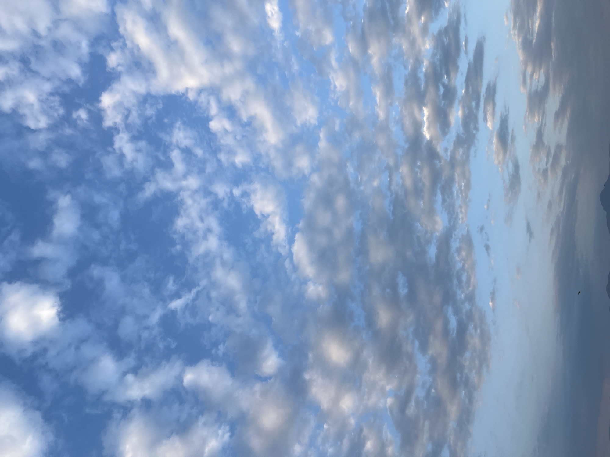 The image depicts a wide expanse of the sky over Tokmok City, Kyrgyzstan. The sky is filled with a mixture of white and gray clouds, with patches of blue sky visible in between. The clouds are varied in size and shape, with some appearing fluffy and scattered, while others are denser and more clustered. The lighting suggests it may be late afternoon or early morning, with the sun casting a soft glow on some of the cloud formations. In the distance, a faint outline of mountains is visible against the horizon, hinting at the natural landscape surrounding the city. There are no people or specific objects clearly identifiable in the sky or on the distant horizon. The overall impression is one of a serene and expansive natural sky.