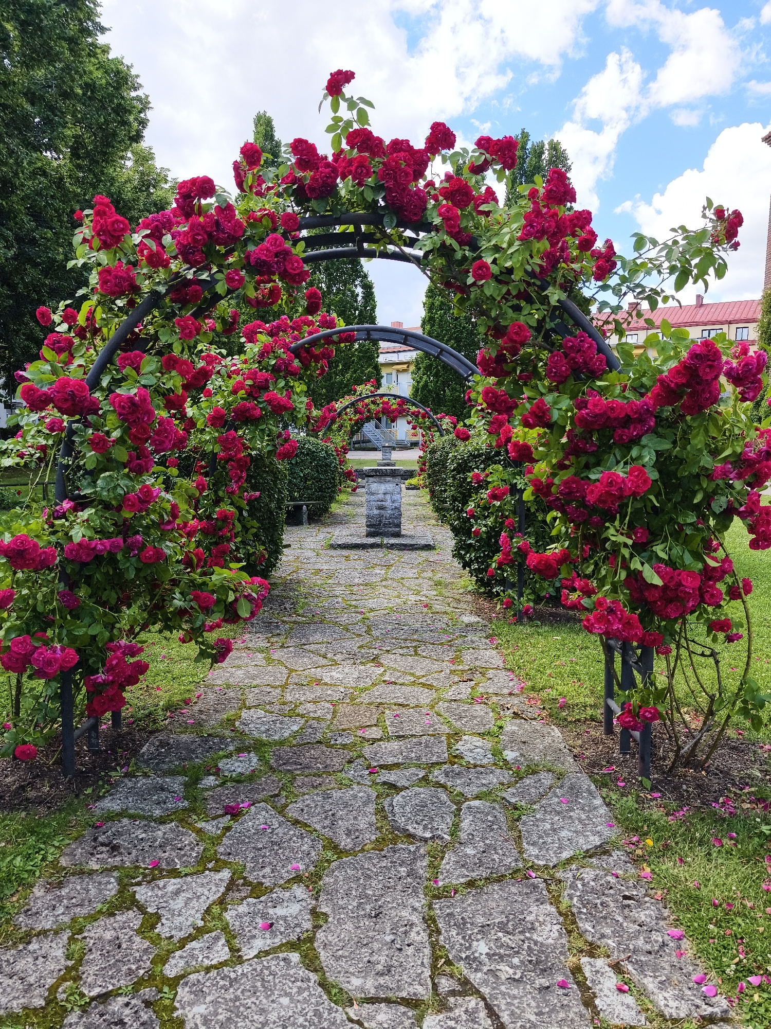 The image depicts a picturesque garden pathway lined with blooming red roses climbing over arched trellises. The pathway is paved with irregular stone slabs interspersed with grass and moss. Several trellised arches lead into the distance, creating a tunnel-like effect. In the background, there are trimmed green bushes, a stone monument, and buildings with red-tiled roofs, suggesting a park or historical site within a city. The sky is partly cloudy, with white clouds against a blue backdrop. The scene is serene and well-maintained, showcasing the beauty of nature and landscaping. This scene is likely located in the Trädgårdsföreningen park in Linköping, Sweden, known for its rose gardens and formal landscaping.