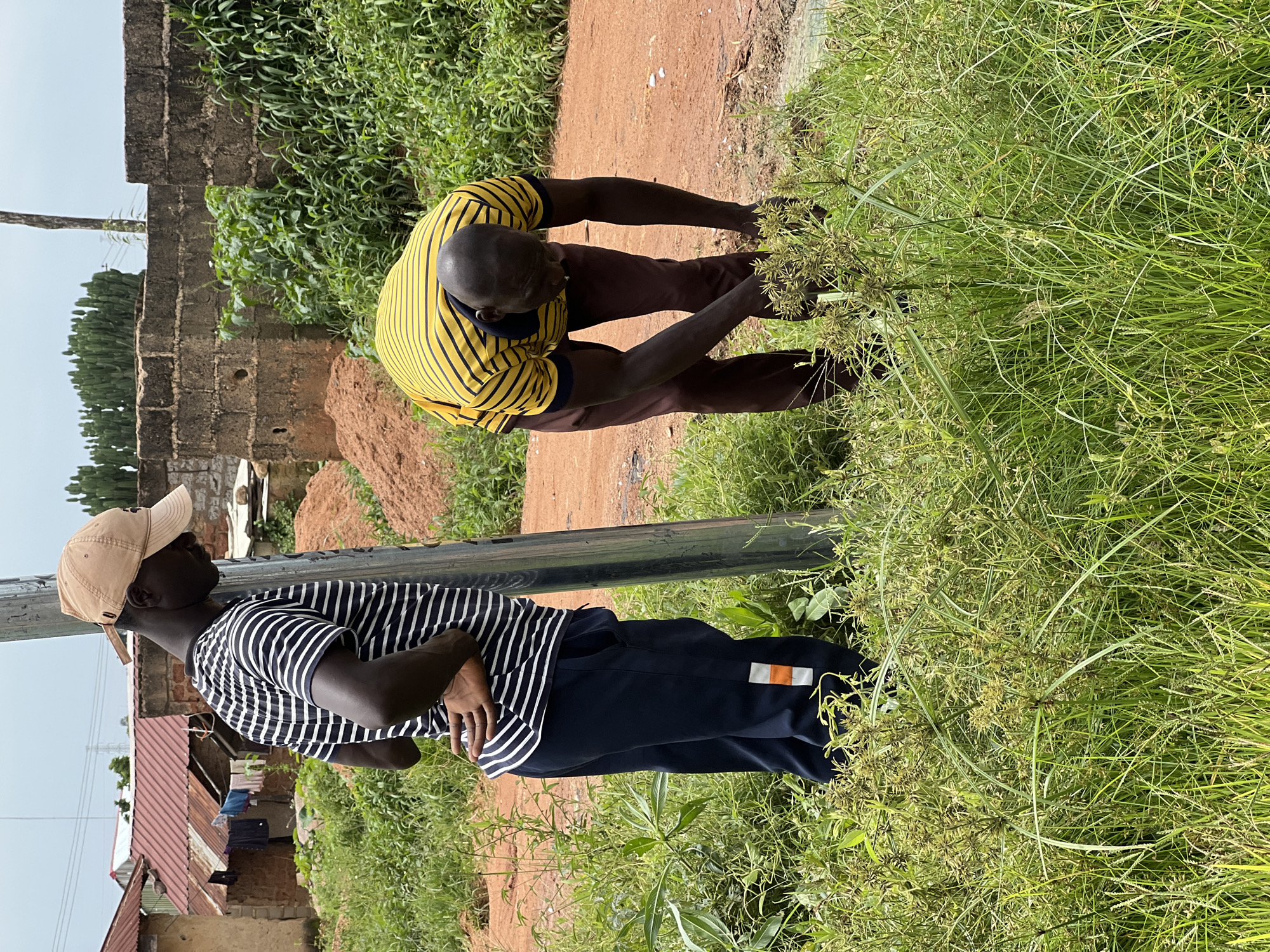 Two men are pictured outdoors in a rural area. The man on the left, wearing a striped t-shirt and a tan baseball cap, stands next to a metal pole, his hands clasped behind his back. The man on the right, dressed in a yellow and black striped shirt and brown pants, is bent over, appearing to examine or tend to a patch of tall grass. The background shows a cluster of buildings with corrugated metal roofs, a pile of red earth, and dense green vegetation under an overcast sky. The setting suggests a residential area on the outskirts of Jos, Nigeria, characterized by modest structures and a natural, unmanicured landscape.