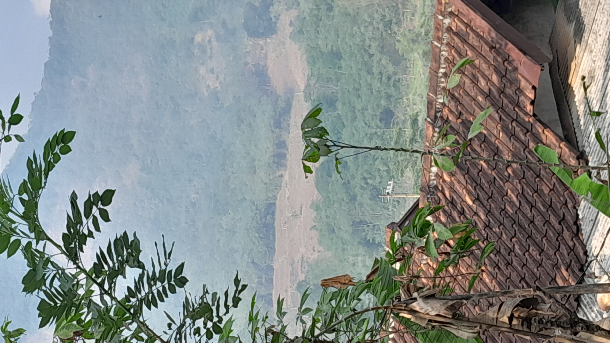 A natural landscape scene is depicted, likely in or around Sumedang, Indonesia, with rolling hills covered in dense green foliage stretching into the distance. In the foreground, the brown, tiled roof of a building is visible, with a few sparse green leaves and branches from surrounding trees framing the view. A small, slender plant with green leaves stands in front of the tiled roof. In the mid-ground, a portion of a hillside appears to have been cleared, revealing bare earth. The sky above is a pale, hazy blue, suggesting either early morning or a slightly overcast day. The overall impression is one of a rural or semi-rural setting nestled within a lush, hilly environment.