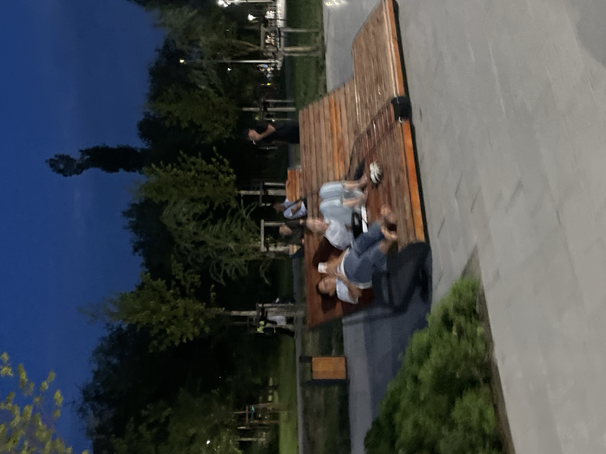 The image depicts a park setting at dusk, with a deep blue sky overhead and trees silhouetted against it. In the foreground, a modern, tiered wooden bench structure is occupied by several people. Two individuals are lying down on the bench, appearing relaxed. One person is holding a smartphone, and the other has their arm around them. To the right, another person is seated on the bench. In the background, more trees and park amenities such as benches and lighting fixtures are visible. The overall impression is one of a public recreational space during evening hours. The question asks for the location in Almaty, Kazakhstan. Based on the visual cues and the question posed, this is a public park.