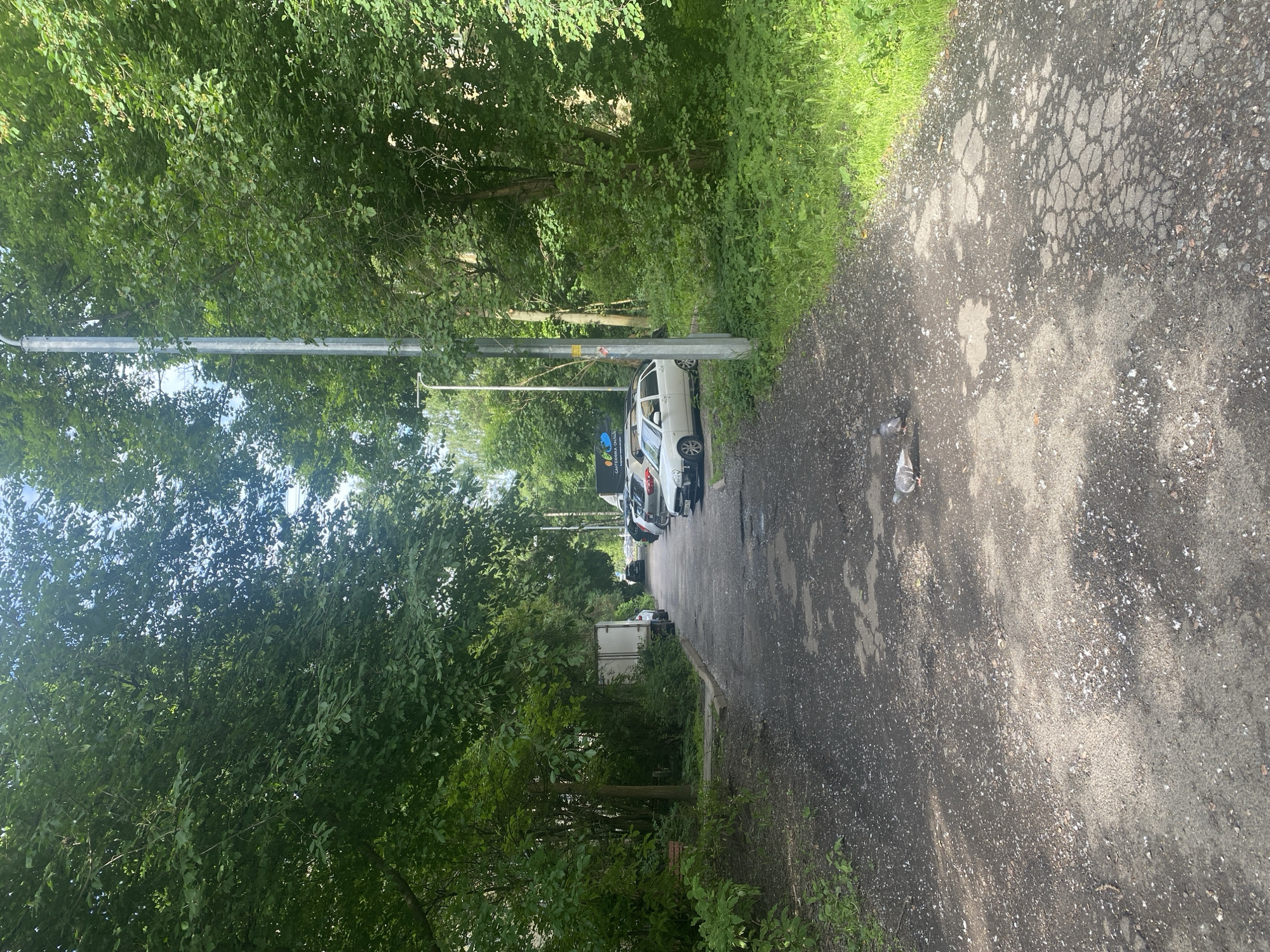 The image depicts a street scene in Saint Petersburg, Russia. On the right side of the frame, a weathered asphalt road stretches into the distance, its surface cracked and uneven, with patches of lighter grey material scattered across it. The road is bordered by a lush green verge of grass and foliage on the far right. To the left of the road, a line of parked cars is visible, including a white station wagon, a silver car, and a darker vehicle. Further down the road, a white box truck is parked amongst the trees.
The left side of the image is dominated by dense green foliage from trees and bushes, with sunlight filtering through the leaves, suggesting it is daytime. A metal pole, possibly a lamppost, stands prominently on the left side of the road. The overall setting appears to be a residential or semi-rural area, characterized by the presence of parked vehicles, trees, and greenery. The weather seems to be pleasant, with clear skies suggested by the bright lighting. There is no discernible human activity or emotional tone conveyed in the image, it is a static scene. The visible text on a sign on the parked white station wagon is not legible.