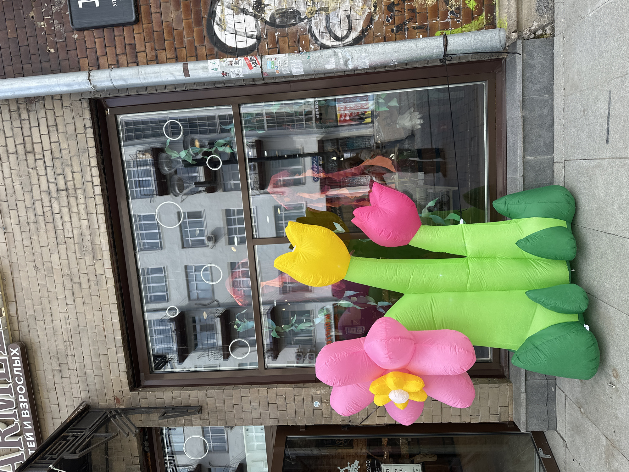 The image depicts an outdoor scene in Yekaterinburg, Russia, showcasing a shopfront decorated with inflatable flower decorations. The shopfront features a large display window reflecting the urban surroundings, including a multi-story building across the street. The window is adorned with a pink flower with yellow petals, a pink tulip, and a yellow tulip, all made of inflatable material. The flowers have green stems and leaves that extend along the sidewalk. The building's exterior is a mix of brick and grey stone or concrete. The shop's signboard and awning are partially visible on the left side of the frame, with lettering in Russian. A metal gutter runs along the top of the window frame. Graffiti is visible on the wall above the window. The sidewalk is paved with light grey stone tiles.