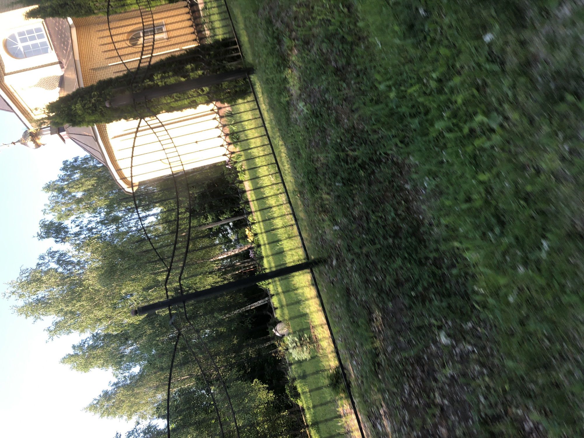 The image captures a glimpse of a yellow brick building, possibly a church, with a distinctive golden dome. The building is partially obscured by a black metal fence and a line of tall, slender evergreen trees. Beyond the fence, a grassy area is visible, with more trees in the background. The lighting suggests it is daytime, with sunlight casting shadows and highlighting the architectural details of the building and the surrounding vegetation. The image appears to be taken from a moving vehicle, as indicated by the motion blur in the foreground, which is predominantly covered in grass and dirt. The overall scene suggests a serene outdoor setting, possibly in a park or on the grounds of a religious institution. While the specific location is not explicitly identifiable, the architectural style of the building and the surrounding flora might be indicative of a region within Russia, such as Safonovo.