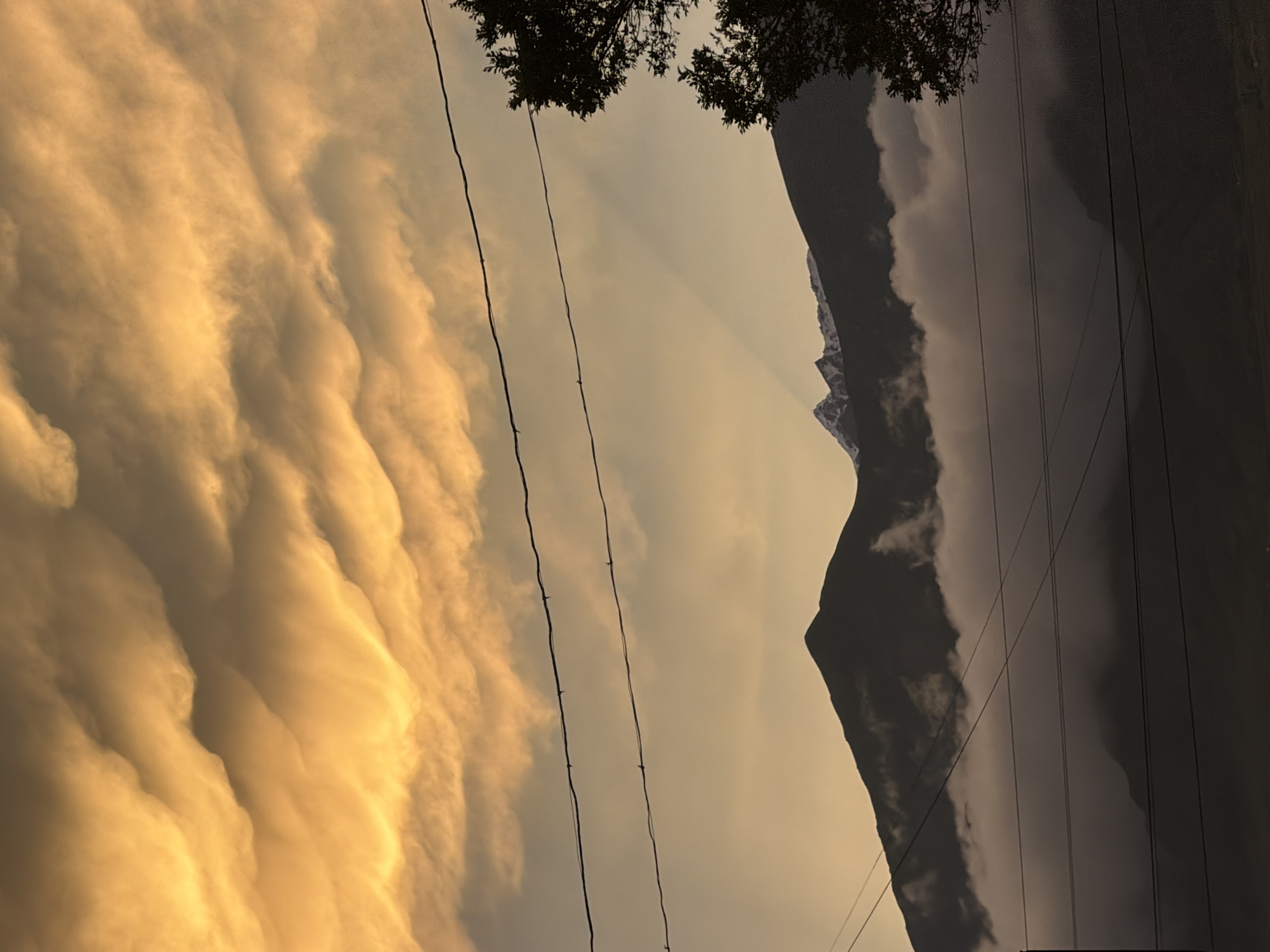 This image captures a dramatic sky over the city of Çolpon-Ata, Kyrgyzstan. The sky is filled with striking mammatus clouds, illuminated by the warm, golden light of either sunrise or sunset. These formations appear as a series of rounded pouches hanging from the underside of the main cloud base. In the middle ground, dark, silhouetted mountains rise, partially obscured by layers of soft, misty clouds. The peaks of these mountains are capped with snow, contrasting with the darker slopes below. Several power lines stretch horizontally across the frame, adding a man-made element to the natural landscape. To the right, the dark silhouette of a leafy tree branches into the scene. The overall impression is one of a serene yet powerful natural spectacle, with the imposing mountains and captivating sky dominating the view.