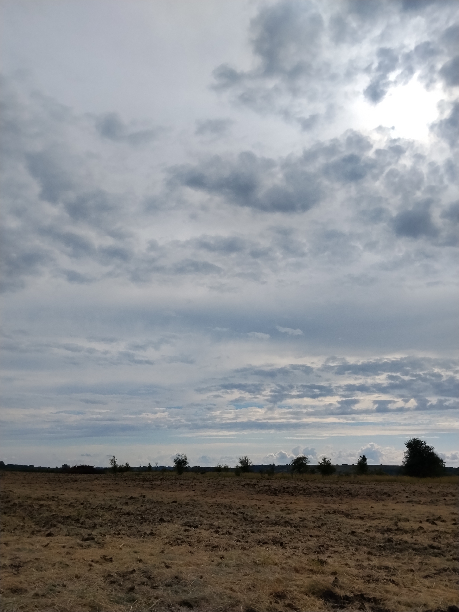 The image depicts a wide, open field in the city of Ustyvytsya, Ukraine. The field appears to be freshly plowed, with loose, dark brown soil mixed with dry, light brown straw and grass. In the distance, a low, undulating horizon is visible, dotted with scattered trees, some appearing as dark silhouettes against the sky. The sky itself is dramatically overcast with a thick layer of grey clouds, but a bright patch of sunlight is breaking through on the upper right side, illuminating the clouds from behind. The overall impression is of a rural, agricultural landscape under a dynamic, cloudy sky.