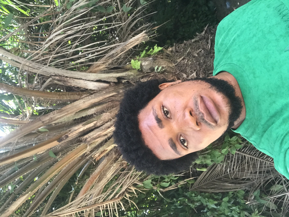 The scene is an outdoor close-up portrait located in Igbologun, Nigeria. The primary subject is an adult male with dark skin, prominent dark, curly hair styled in an afro, a full dark beard, and a mustache. He has full lips and is looking directly into the camera. He is wearing a plain green short-sleeved t-shirt. The background consists of dense tropical vegetation, dominated by the textured trunk and fronds of a large palm tree positioned centrally behind the man. Additional green leafy foliage and some dried palm fronds are visible to the left and right. The scene is illuminated by natural daylight.