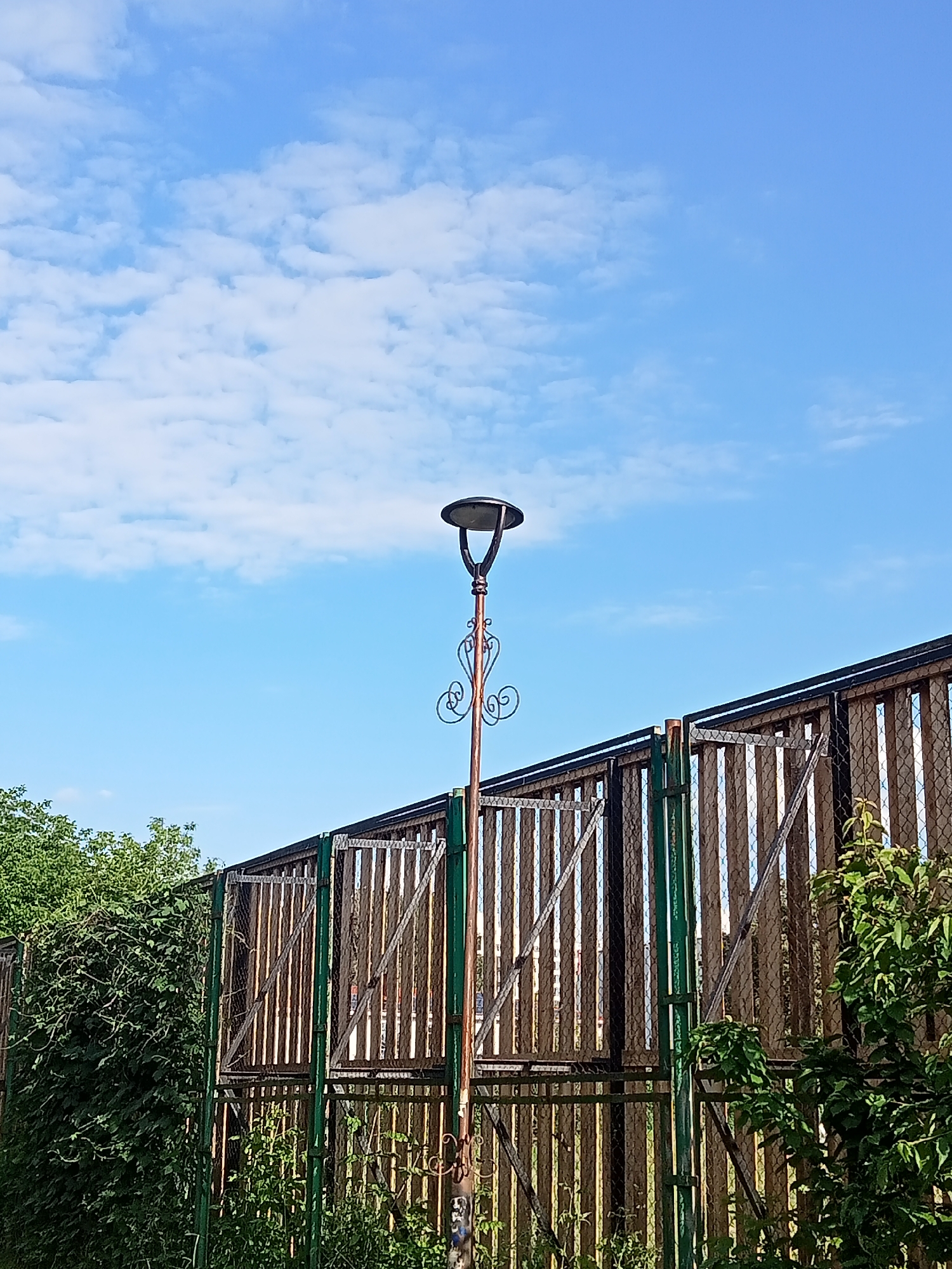 A decorative, copper-colored lamppost stands in front of a wooden fence under a bright blue sky with scattered white clouds. The lamppost has an ornate scrolled design on its pole and a dark, bell-shaped lamp at the top. The fence is constructed with vertical wooden slats and a metal mesh in between. Lush green foliage and bushes are visible on either side of the fence. The scene appears to be outdoors during the daytime, likely a sunny day. There is no discernible text in the image. The overall impression is that of a peaceful outdoor setting.
