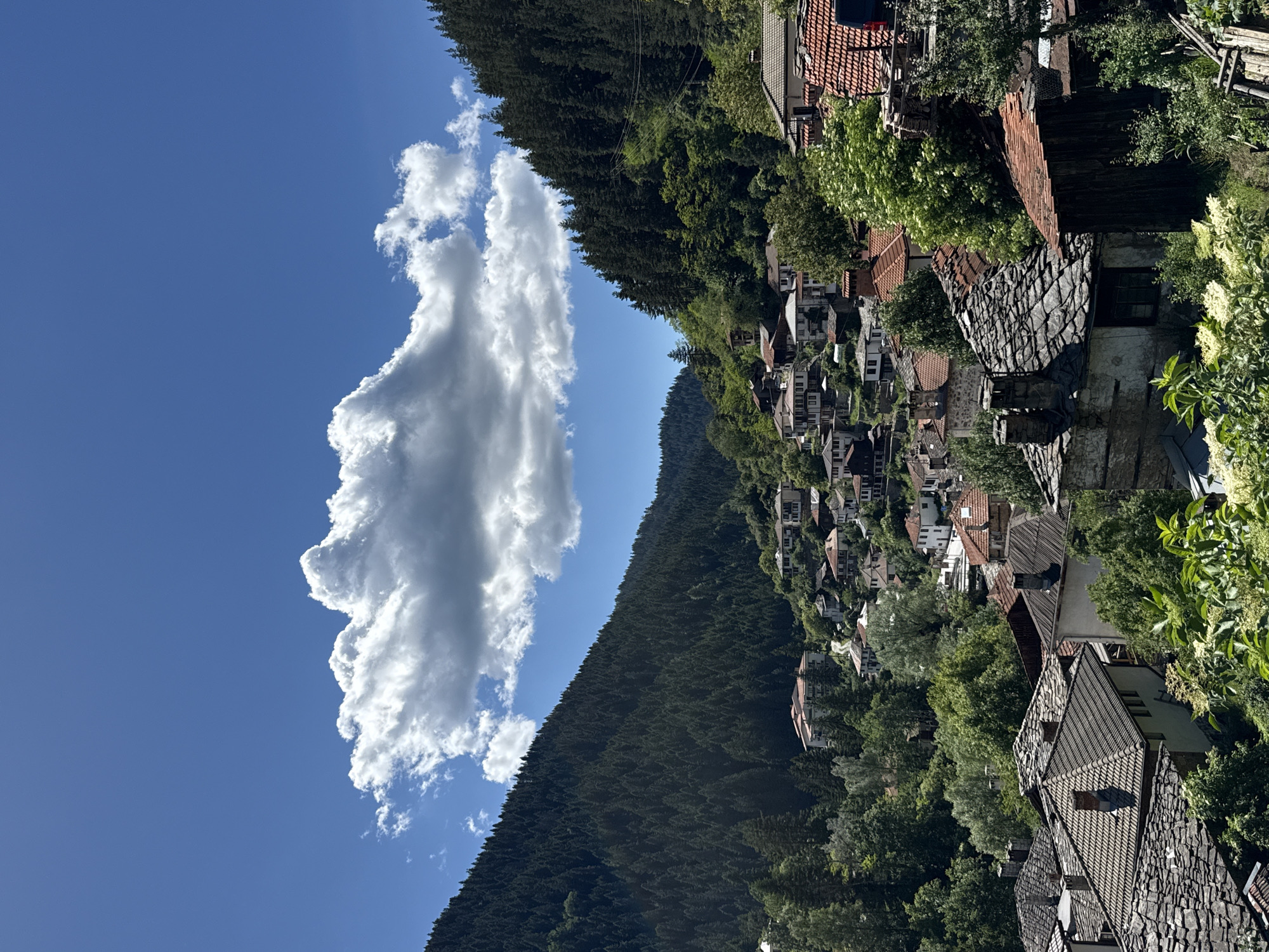 The image depicts a panoramic view of the village of Shiroka Laka, Bulgaria, nestled within a valley. The foreground is dominated by a cluster of traditional Bulgarian houses with distinctive stone-tiled roofs, some appearing weathered and aged. These houses are densely packed and built on a sloping terrain, surrounded by lush green trees and foliage. Further into the background, more houses with red-tiled roofs are visible, ascending the hillsides. The village is framed by steep, tree-covered mountains on either side, with dense coniferous forests blanketing the slopes. Above the mountains, a clear blue sky stretches across the frame, punctuated by a large, fluffy white cloud. The overall impression is one of a picturesque, rural mountain village bathed in bright sunlight. There are no people or animals visible in the image, and no specific actions or interactions are taking place. The scene is static and captures a serene moment in time.
