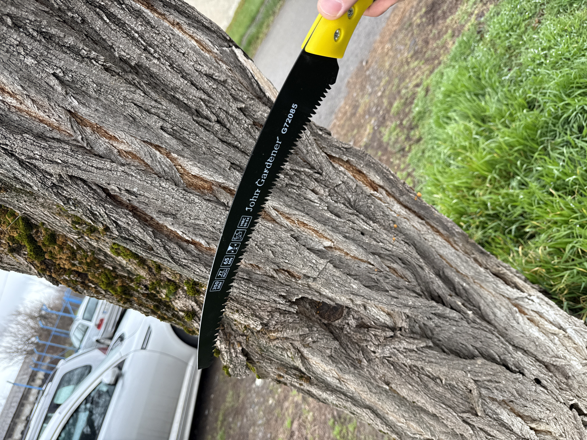 A black-bladed John Gardener G72085 pruning saw with a yellow handle is positioned against a tree trunk. The tree's bark is textured, with patches of moss growing on it. Green grass and a sidewalk are visible in the background. A white van is partially visible behind the tree. The image does not contain enough information to establish a location in Sofia, Bulgaria.