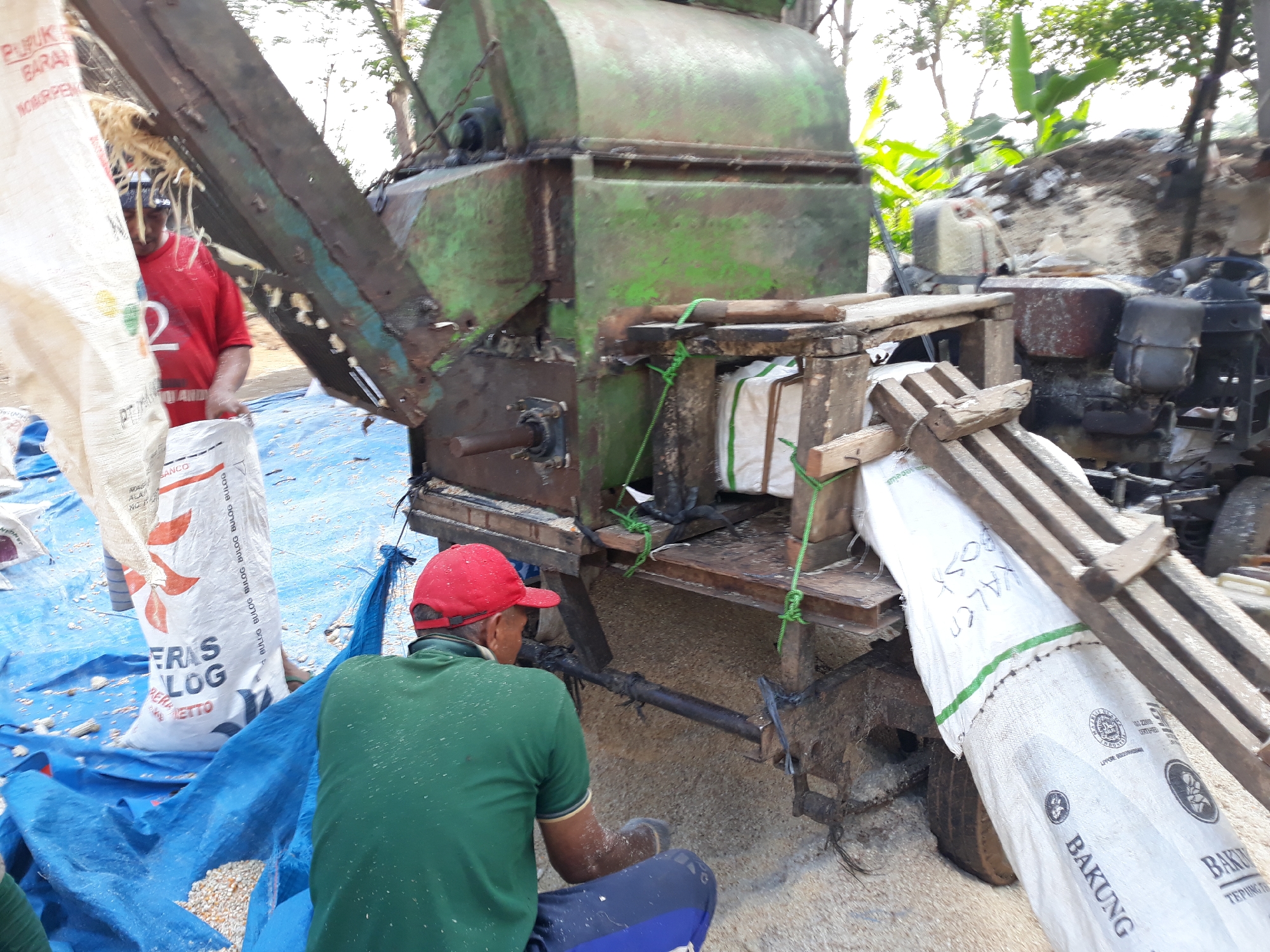 In Potroyudan, Indonesia, a man wearing a green t-shirt and a red cap kneels beside a large, green, industrial machine that appears to be a grain thresher or grinder. The machine is aged and weathered, with visible signs of rust and dirt. Several large white sacks, some with text and logos, are positioned around the machine, some appearing to be filled with grain. A blue tarp is spread on the ground, covering some of the grain and debris. The environment suggests an outdoor, possibly agricultural or processing setting, with trees and vegetation visible in the background. The man is actively engaged with the machinery, possibly in the process of loading or unloading material.