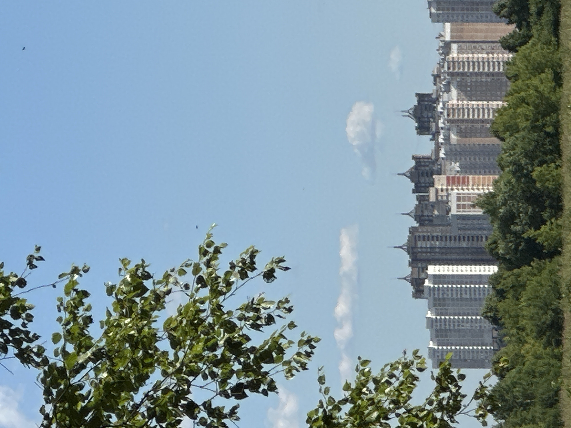 The image captures a panoramic view of a suburban landscape with a clear blue sky dotted with a few wispy clouds. In the foreground, lush green trees dominate the lower portion of the frame, with a branch laden with green leaves extending from the upper left corner. Behind the trees, a cityscape unfolds, showcasing a dense cluster of modern apartment buildings. These high-rise structures are a mix of white, beige, and gray, with some featuring red accents. Distinctive pointed spires crown several of the taller buildings, giving the skyline a unique architectural character. The overall scene suggests a sunny day in a residential area. This scene is characteristic of the city of Dubrovitsy, Russia.