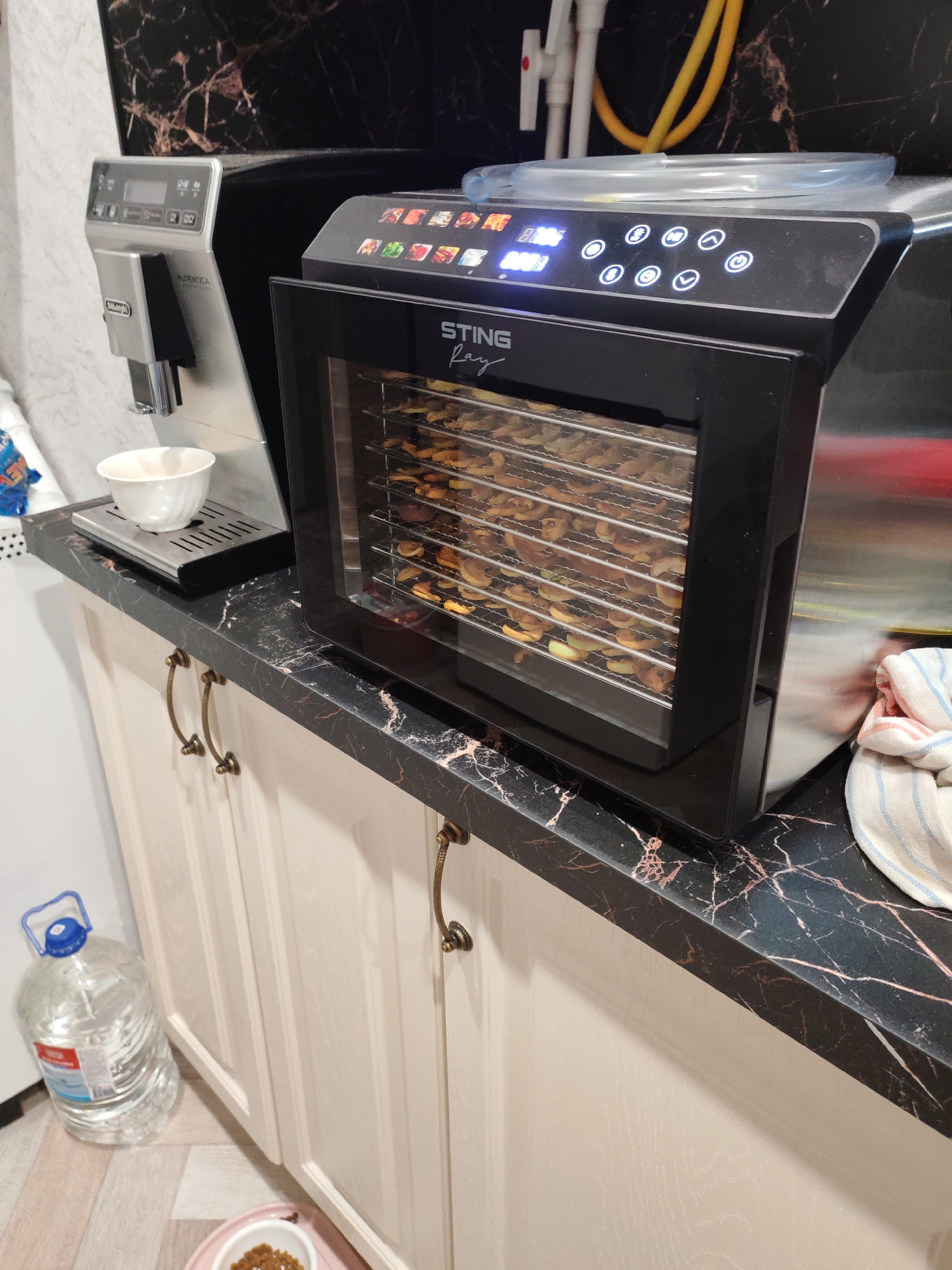 The image shows a kitchen counter in Тешевичи, Russia. On the counter, there is a De'Longhi coffee machine and a food dehydrator filled with dried food, possibly fruit. The counter is made of black marble with red veins. Below the counter, there are light-colored kitchen cabinets with brass handles. To the left of the cabinets, there is a large bottle of water and a small white bowl containing some sort of brown substance, possibly food for a pet. A white towel with blue and red stripes is placed on the right side of the food dehydrator. The background shows a black marbled wall with some plumbing fixtures.