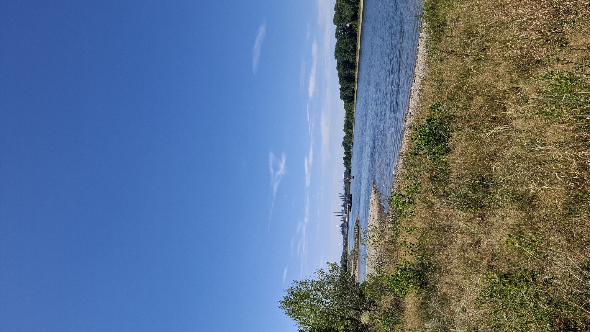 The image shows a wide river with a clear blue sky overhead. On the left bank of the river, there is a patch of dry grass and some green bushes. In the distance, along the river, there are industrial facilities with multiple tall structures and smokestacks. The right bank of the river is lined with dense green trees. A few boats are visible on the water. The scene is likely a view of the Rhine River in Cologne, Germany, showcasing the coexistence of nature and industry.