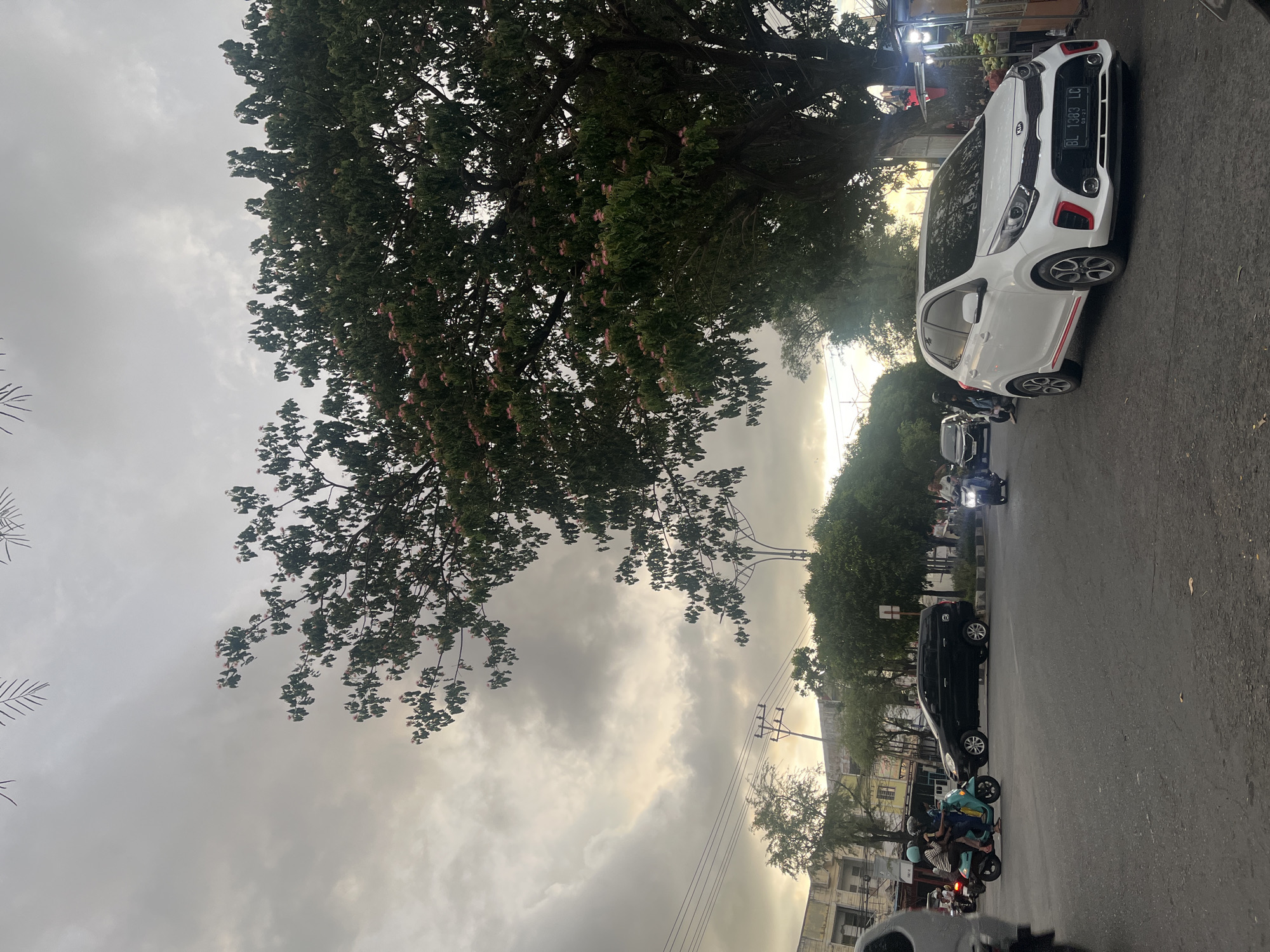 The image depicts a street scene in Banda Aceh, Indonesia, likely during the late afternoon or early evening, indicated by the overcast sky with hints of sunlight. A prominent tree with green foliage and small pink flowers stands on the right side of the frame, partially obscuring the sky. The street is paved and appears to be a multi-lane road with traffic.
In the foreground, a white Kia Picanto car is parked or moving slowly on the right side of the road. The car has a license plate that reads "BL 1383 LC". Further back, a black SUV is visible in the left lane, and several motorcycles are on the road. One turquoise scooter carries two individuals wearing helmets, navigating the traffic. Another motorcycle with a rider is seen further ahead. In the distance, buildings with light-colored facades and trees line the street. Overhead power lines are visible stretching across the scene, supported by utility poles. The overall environment suggests an urban setting with active vehicle and pedestrian movement.