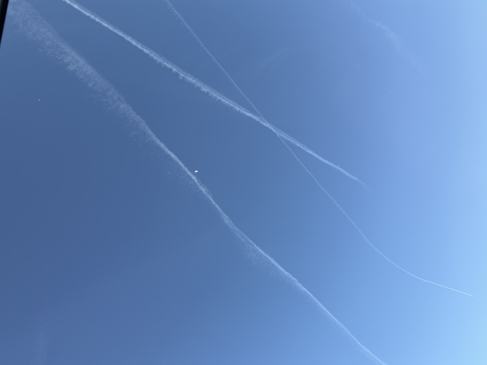 The image displays a clear daytime sky over Pétange, Luxembourg, dominated by multiple white contrails from aircraft. These long, linear vapor trails crisscross the blue expanse, with some appearing thin and sharply defined, while others are wider and more diffused, suggesting they have been present for varying lengths of time.
In the lower-left quadrant of the frame, a distinct, bright white crescent moon is visible against the blue sky. Further towards the middle-left, a tiny, bright white speck, possibly a distant aircraft or other airborne object, can be seen. The overall scene indicates clear weather conditions with no other clouds present, and the strong illumination points to the photograph being taken during daylight hours. No text is visible in the image, and no specific emotions are conveyed.