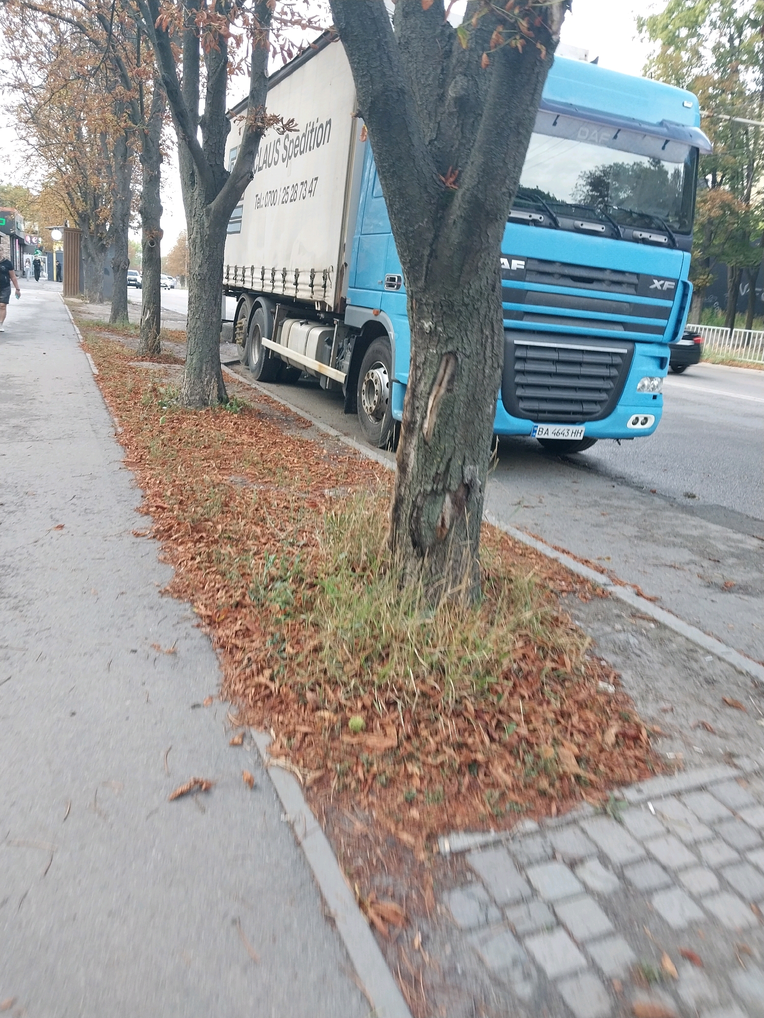 A blue DAF XF semi-trailer truck is parked on the right side of a street in Dnipro, Ukraine. The truck's trailer is white and has "CLAUS Spedition" written on it, along with a phone number. The truck has a license plate that reads "BA 4643 HH".
In the foreground, a sidewalk is visible with scattered fallen brown leaves and some grass. Several trees with bare branches line the sidewalk. Further down the street, other vehicles and buildings can be seen. A person wearing a black t-shirt and shorts is walking on the sidewalk in the distance, facing away from the camera. The sky is overcast.