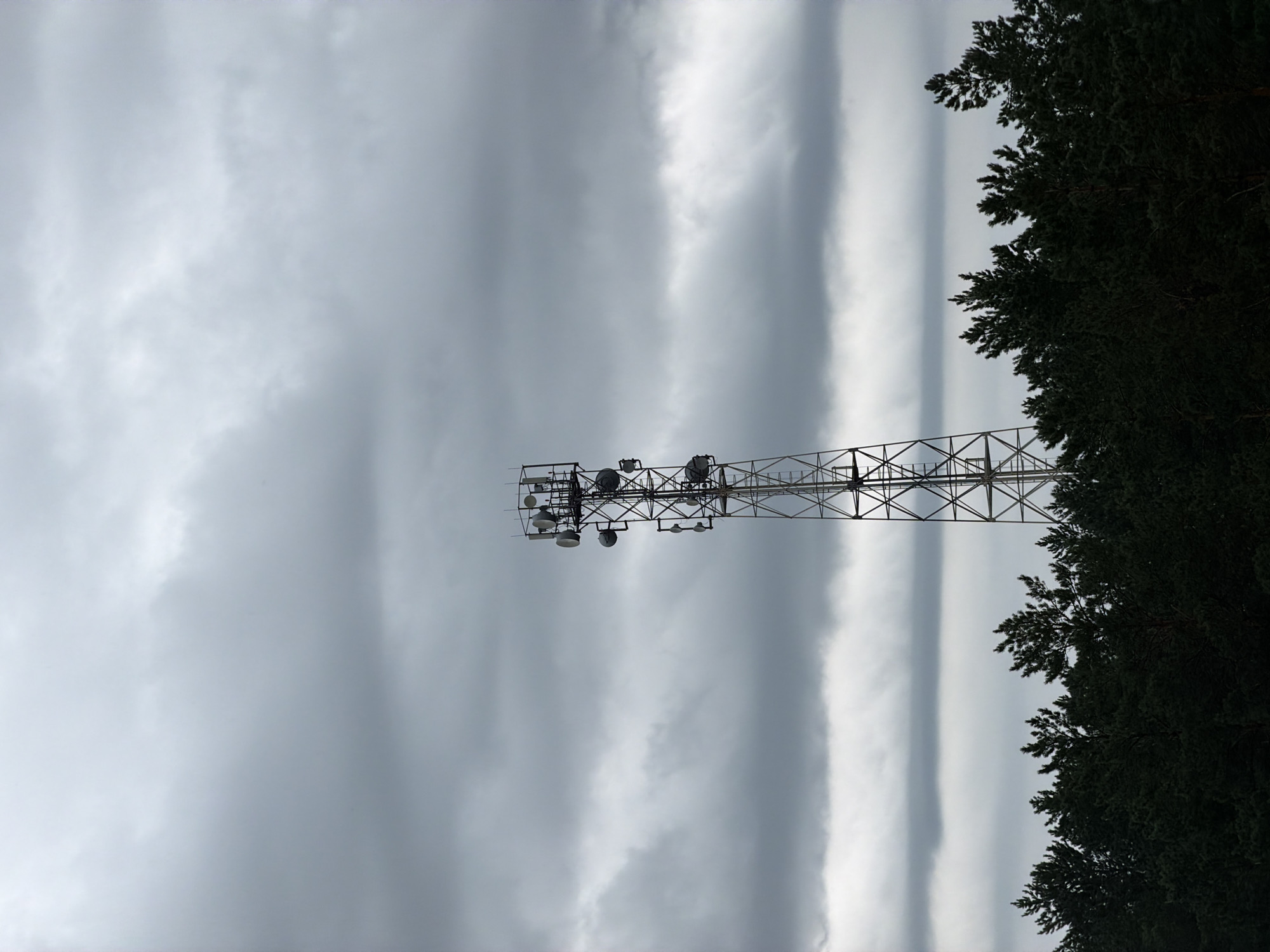 A cell tower stands tall against a cloudy sky, its metallic structure adorned with various antennas and dishes. Below the tower, a dense line of dark green coniferous trees stretches across the frame, forming a stark contrast with the overcast sky. The scene is devoid of any people or visible activity, creating a sense of isolation. The weather appears to be gloomy, with heavy clouds obscuring any hint of sunlight. The image captures a remote, possibly industrial landscape where communication infrastructure is placed amidst natural surroundings. The location is Tsiolkovsky, Russia.