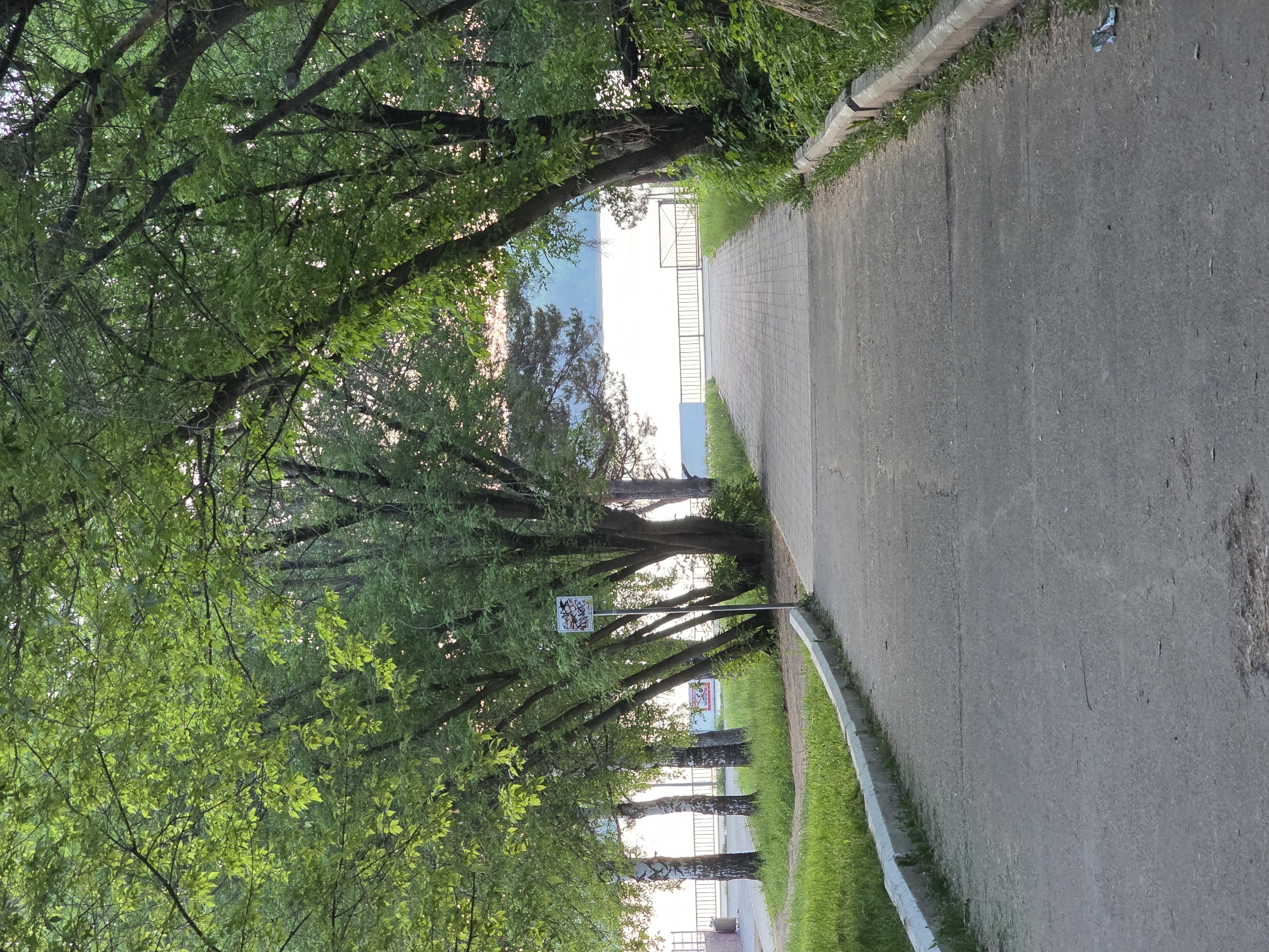 The image shows a paved path in the city of Chaikovsky, Russia. The path is lined with trees on the left side, creating a tunnel-like effect. There is a curb alongside the path with grass growing between the curb and the pavement. A signpost is visible on the left side of the path, obscured by the trees. In the distance, a white fence can be seen, possibly indicating a waterfront area or public space. The lighting suggests it is daytime, possibly late afternoon or early morning.