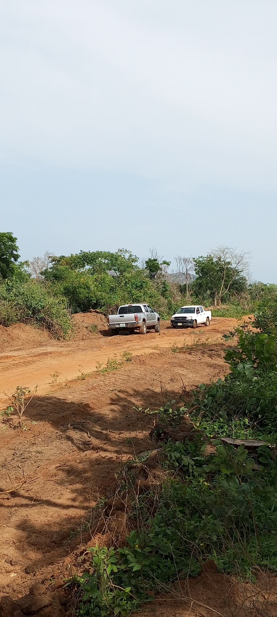 This vertical full shot captures an unpaved, reddish-brown dirt road winding through a rural, verdant landscape in Otunade, Nigeria, under a bright, clear sky. Two pickup trucks are visible on the road.
In the mid-ground, a silver/grey pickup truck, possibly a Toyota Tacoma, is parked or moving away from the viewer. Its rear is clearly visible, displaying a Nigerian license plate that reads "LAGOS GGE 559GB". Slightly further down the road and to the right, a white pickup truck, likely a Toyota Hilux, faces generally towards the viewer but is angled away, partially obscured by the silver truck and dense vegetation. Its license plate is less discernible but also appears to be a Nigerian plate.
The dirt road shows distinct tire tracks and appears to be well-used, with raised sections of earth on its edges. Lush green foliage, comprising bushes and small trees, borders the road, with some dried or sparse trees visible in the background, especially near the horizon. The ground immediately adjacent to the road shows disturbed earth, contrasting with the wilder growth beyond. Shadows are cast on the dirt track, indicating a sunny daytime setting with a clear, light blue sky. The scene depicts a functional, rural pathway amidst natural bushland.