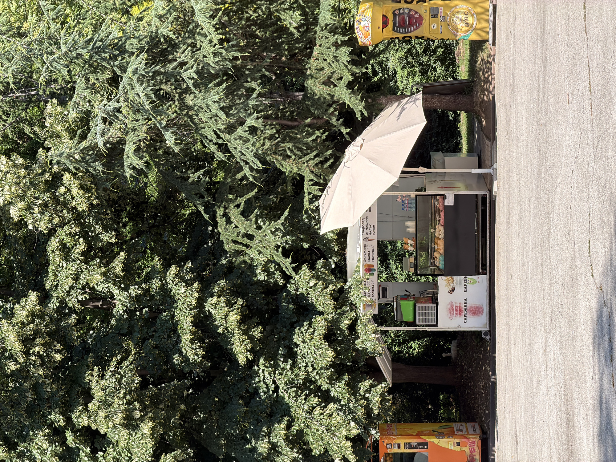 The image depicts an outdoor scene featuring a small food stand with an umbrella, situated in front of lush green trees, likely in a park or public area. The food stand appears to be selling frozen treats and drinks, with display cases showcasing various colorful items. There are also menus visible with Bulgarian text, indicating prices. To the left of the food stand, there is an orange and yellow vending machine, and to the right, a yellow amusement or prize machine with Bulgarian text and graphics. The ground in front of the stand is paved. The overall impression is of a bright, sunny day in a recreational setting. The location is identified as Pazardzhik, Bulgaria.