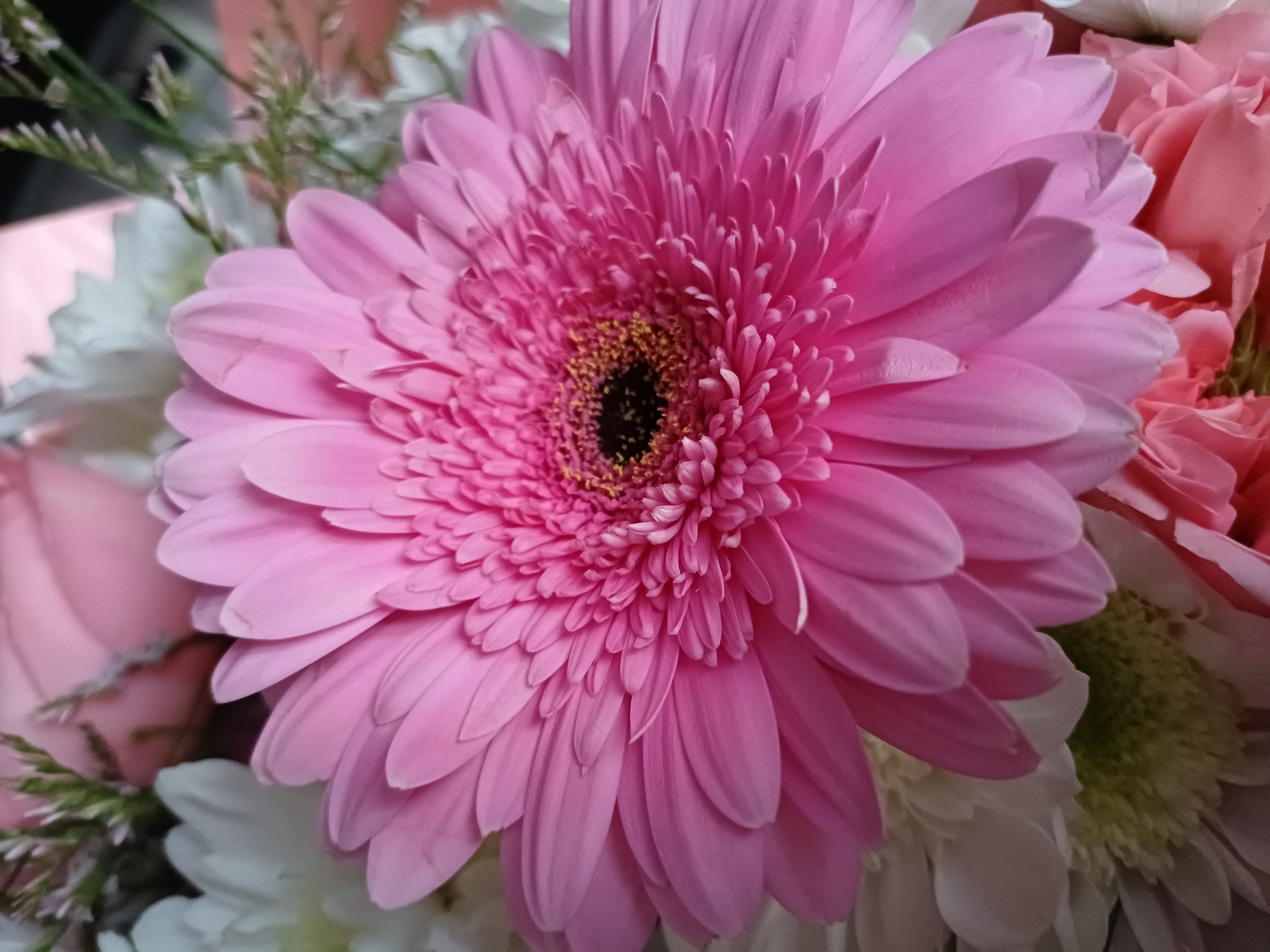 A close-up, top-down shot shows a bouquet of flowers. The most prominent flower is a large, bright pink gerbera daisy with a black center. Surrounding the gerbera are smaller white and pink flowers, with some greenery and wispy foliage scattered throughout. The lighting is soft, with some areas in shadow and others brightly illuminated, suggesting it might be indoors or under diffused natural light. The background is out of focus and appears to be a blurred mix of soft colors, possibly other flowers or fabric.