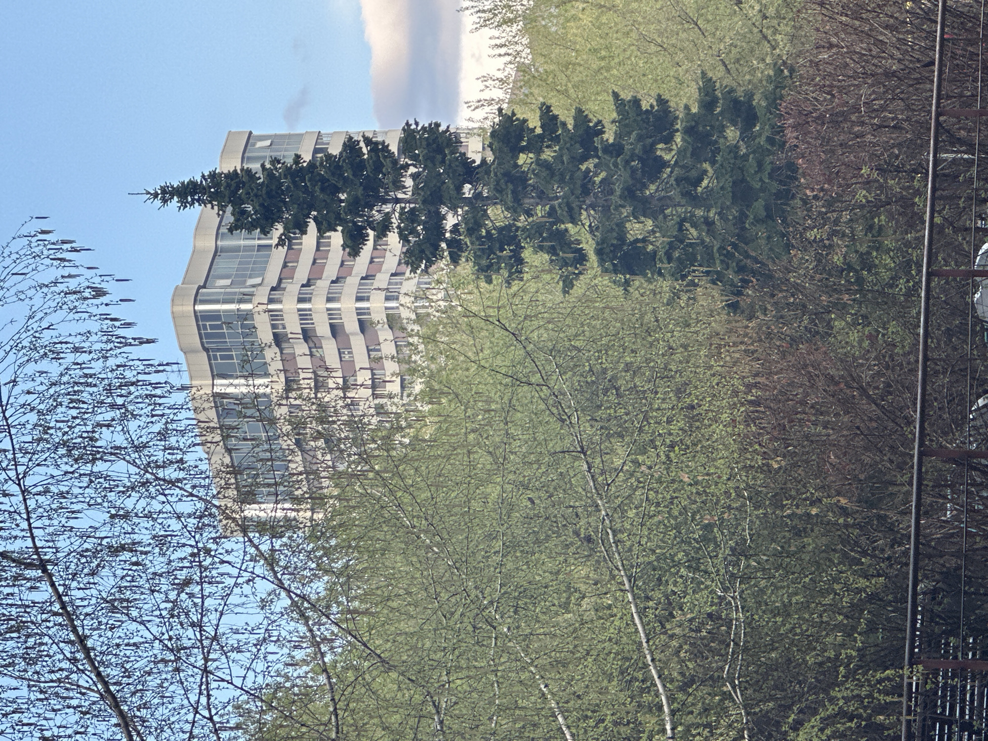 A tall, modern building with a wavy facade stands behind a row of trees, some with bare branches and others with fresh green foliage. The building's architecture is characterized by its repeating window patterns and the undulating surface of its exterior. The sky is partly cloudy, with a patch of blue visible behind the building. The location is likely Novosibirsk, Russia, based on the architectural style and vegetation.