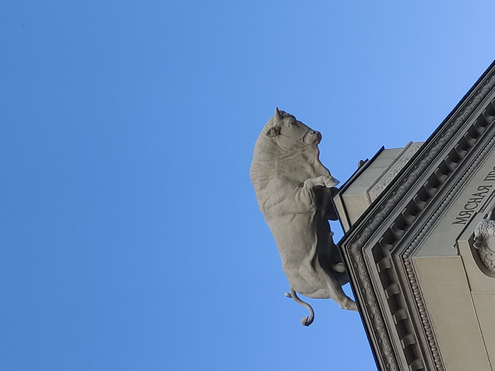 A low-angle shot shows a stone statue of a bull standing on its hind legs, seemingly leaping off a building's corner. The building has decorative molding and a sign in Russian: "МЯСНАЯ ПР.". The sky is a clear blue with a tiny black object, possibly a bird, visible in the upper left.