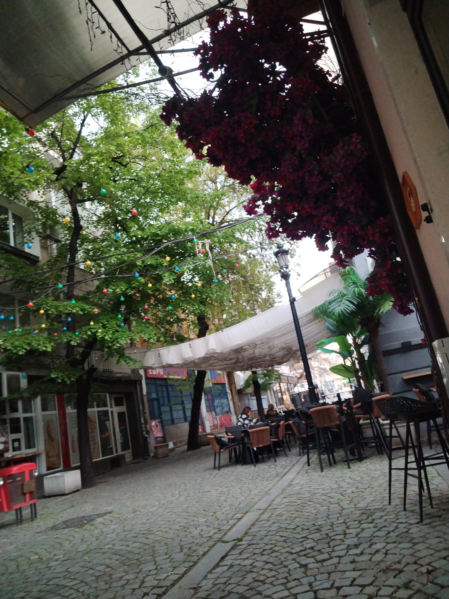 The image depicts a charming outdoor cafe area situated on a cobblestone street in Plovdiv, Bulgaria. The scene is characterized by a relaxed atmosphere, suggesting either an overcast day or late afternoon/early evening.
In the foreground, a detailed cobblestone street stretches, leading into the mid-ground where the cafe tables and chairs are arranged. Overhead, a light-colored canvas canopy provides shade to the seating area. To the left, several large green trees are adorned with colorful string lights featuring spherical bulbs in red, yellow, blue, and green, creating a festive ambiance. Further down the street, buildings with windows and shopfronts line both sides. On the far left, a distinctive red metal object, possibly a decorative mailbox or a small fire hydrant, is visible.
On the right side of the frame, a dense cluster of dark red or purple flowering vines, resembling bougainvillea, hangs prominently, partly obscuring a building facade. Below these flowers, a classic black street lamp stands tall, and potted plants, including one that appears to be a small palm tree, add to the greenery of the outdoor setting. Numerous patrons are seated at the cafe's tables and chairs, some high-top and some standard, engaged in conversation or leisurely dining. Most people are seen from the back or side, and their faces are not clearly visible.
Visible text includes what appears to be "TOPU" or "COPU" on a shopfront banner in the mid-ground. A small, unreadable wooden plaque is affixed to the building wall on the far right. The overall impression is that of a quaint, lively pedestrian street in a historic European city.