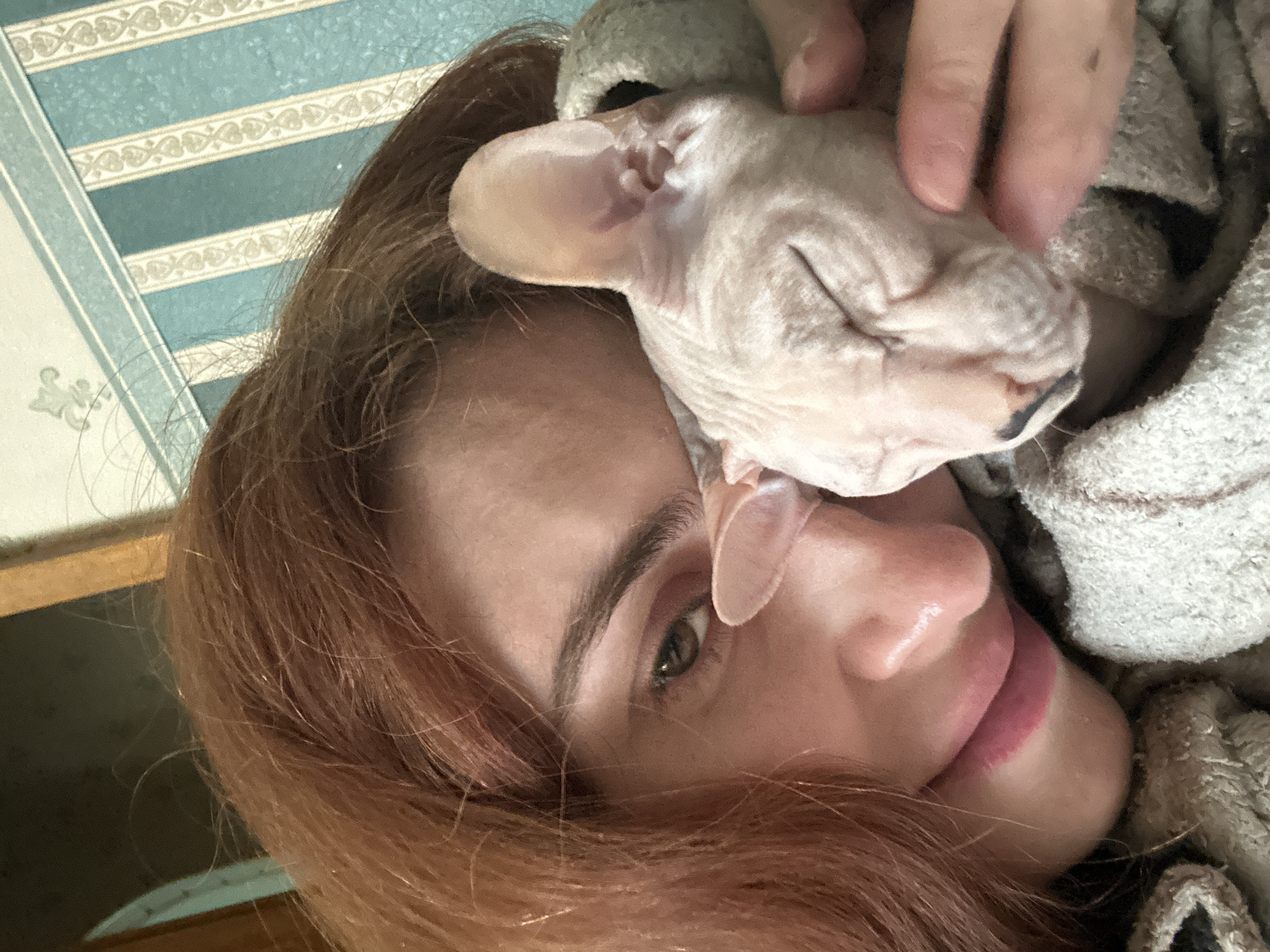 This is a close-up, portrait-style photograph of a woman and a Sphynx cat. The woman has auburn hair and is looking at the camera with a slight smile. Her left eye is visible, with brown irises and defined eyebrows. Her lips are painted with a pink lipstick. The Sphynx cat, with its characteristic hairless skin and large ears, is nestled against her face, its eyes closed as if sleeping or content. A hand is gently petting the cat's head.
The background consists of striped wallpaper with alternating bands of light blue and cream, featuring a subtle, repeating pattern. To the left, a portion of a wooden surface is visible, possibly furniture. The overall lighting suggests an indoor setting, likely during the daytime. The mood of the image is intimate and affectionate, highlighting the bond between the woman and her pet. There is no visible text in the image. The location context is Togliatti, Russia.