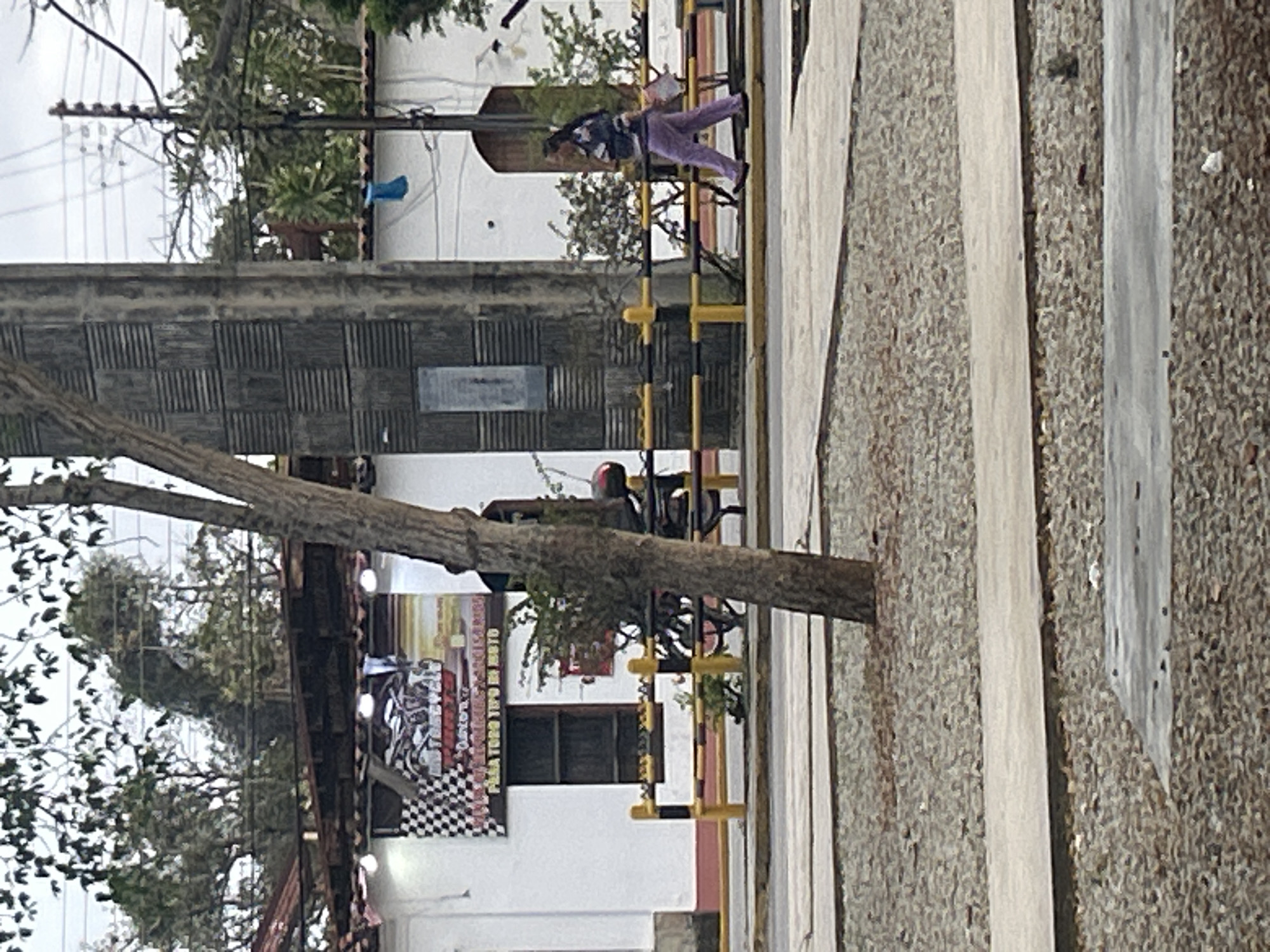 The image depicts an outdoor scene in Santa Ana, Venezuela, likely in a public area with paved walkways and gravel landscaping. In the background, a white building with a red-tiled roof is visible. A banner displaying "MOTORCYCLE PARTS" and "PARA TODO TIPO DE MOTO" hangs on the front of the building. A yellow and black striped barrier runs along the front of the building. A woman with dark hair, wearing a striped long-sleeved shirt and purple pants, is walking from right to left in front of the barrier. She is carrying a light-colored object in her right hand. A tree trunk is prominent in the foreground, positioned slightly to the left of center. A large, ribbed, gray structure, possibly a monument or part of a building, stands to the right of the tree. Overhead, electrical wires and a utility pole are visible. The sky is overcast.