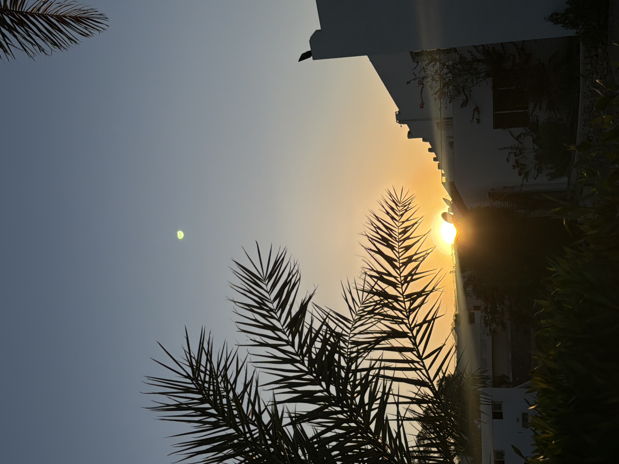 The media file captures a serene sunset scene in Sharm El Sheikh, Egypt. The image is oriented vertically, with the sky dominating the frame. In the foreground, silhouetted palm fronds create a dramatic framing effect against the soft hues of the setting sun.
The sun itself is a prominent feature, a bright, luminous orb positioned in the middle right of the image, casting a warm, golden glow across the sky and the scene. Rays of light emanate from the sun, adding a dynamic quality to the photograph.
In the background, a white building with multiple stories is partially visible, its architecture suggesting a modern resort or residential complex. Dark foliage and trees are interspersed with the building, further enhancing the tropical atmosphere. The building's windows are dark, indicating they are not illuminated from within.
A small, pale green circular object is visible in the upper left quadrant of the sky. This could be the moon or a planet, appearing faintly against the clear sky. The overall mood of the image is peaceful and tranquil, evoking a sense of calm and relaxation, characteristic of a sunset in a coastal resort town. The time of day is clearly sunset, indicated by the warm, low angle of the sun and the gradient of colors in the sky, transitioning from a pale blue to a warm orange and yellow. The weather appears clear and pleasant, with no clouds obscuring the sun.