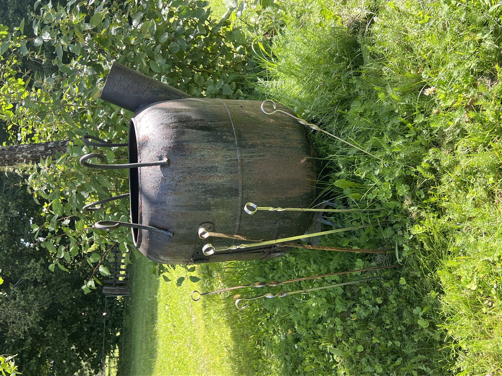 The image depicts a large, rusted metal cauldron or tank, possibly a repurposed industrial barrel, situated outdoors on a grassy area. The object is dark in color with visible signs of rust and wear. It has two curved metal handles attached to its top rim and a protruding pipe or spout on one side. Several metal skewers with loop handles are stuck into the ground around the base of the cauldron. The surroundings consist of lush green grass, clover, and various plants, suggesting a natural or semi-natural environment. In the background, there are trees and foliage, indicating a rural or suburban setting. A wooden fence is partially visible in the distance. The lighting suggests it is daytime, with sunlight casting shadows. The location is identified as Daulėnai, Lithuania. There are no people or animals present in the image.