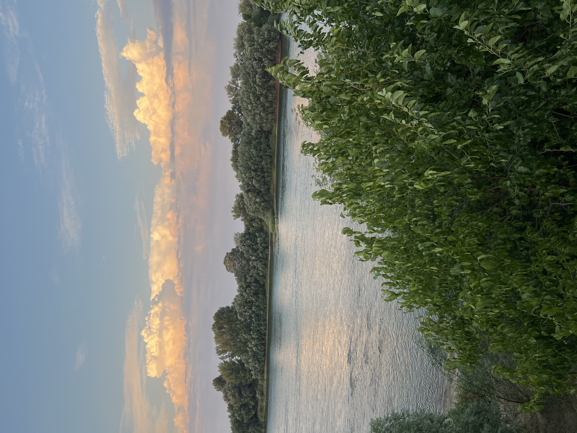This is a vertical, outdoor, eye-level shot of a tranquil river scene at sunset, likely in Bender, Moldova. The image is dominated by a wide river flowing from the background towards the foreground, with its surface reflecting the soft hues of the setting sun. Lush green trees line the far bank of the river, creating a dense wall of foliage. On the right side of the frame, the foreground is occupied by the branches and leaves of a large tree, its green foliage almost obscuring the river from this perspective.

In the sky, dramatic clouds are illuminated with warm, golden and pink tones, indicative of sunset. The sky transitions from a clear, pale blue on the left to softer, warmer shades on the right. The water itself appears calm, with gentle ripples distorting the reflections of the sky and the trees. The overall mood is peaceful and serene. The time of day is clearly sunset, and the weather appears clear with scattered clouds. There is no visible text in the image.