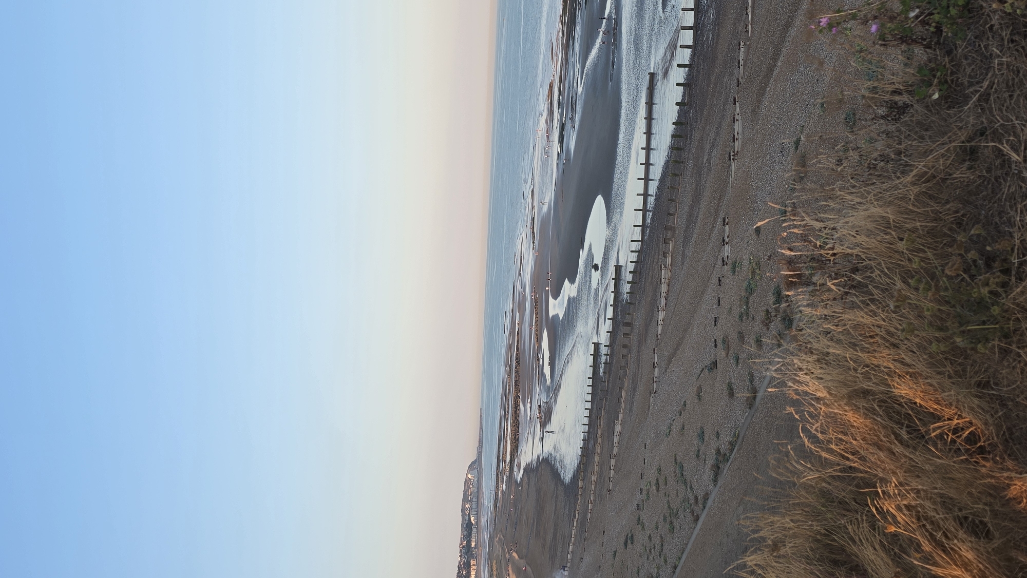 The image captures a wide, tranquil view of a pebble beach during what appears to be late afternoon or early evening, as indicated by the warm, soft light illuminating the scene. The sky is a clear, pale blue, transitioning to a softer hue near the horizon. The sea stretches out, calm and reflecting the sky, with the water gently lapping at the shore. The beach is characterized by its stony composition, interspersed with patches of sand and shallow tidal pools that mirror the sky. Wooden groynes, essential coastal defense structures, are visible, jutting out into the sea at regular intervals, creating a visual rhythm along the coastline. In the distance, a town with buildings and structures is visible, nestled along the coastline, suggesting a populated area bordering the natural landscape. The foreground is dominated by dry, tall grasses, catching the light and adding a touch of texture and color to the immediate scene. A few small, distant figures are present on the beach, seemingly individuals enjoying a stroll or engaging in activities, their presence adding a sense of scale to the vastness of the coastline. The overall impression is one of peacefulness and natural beauty, typical of a coastal landscape in the United Kingdom. This scene is likely a view of the coastline near the town of Pevensey or Eastbourne in the Rother district of East Sussex, United Kingdom, known for its pebble beaches and coastal defenses.