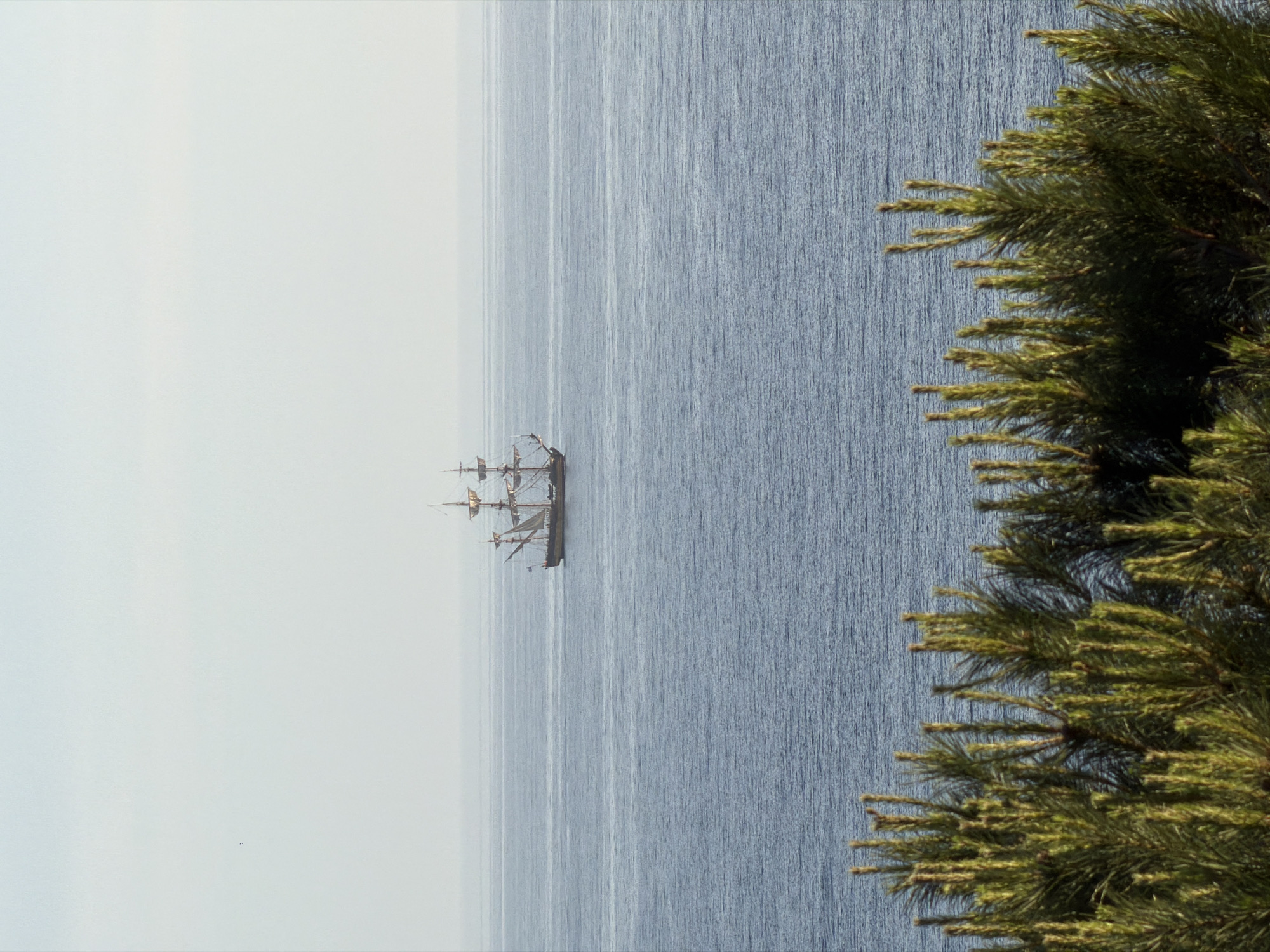The image shows a sailing ship on the Adriatic Sea, as viewed from Petrovac na Moru, Montenegro. A green tree is located on the right of the image. The sky is lightly colored, and the water is a dark shade. The boat is small and located on the left side of the image.
