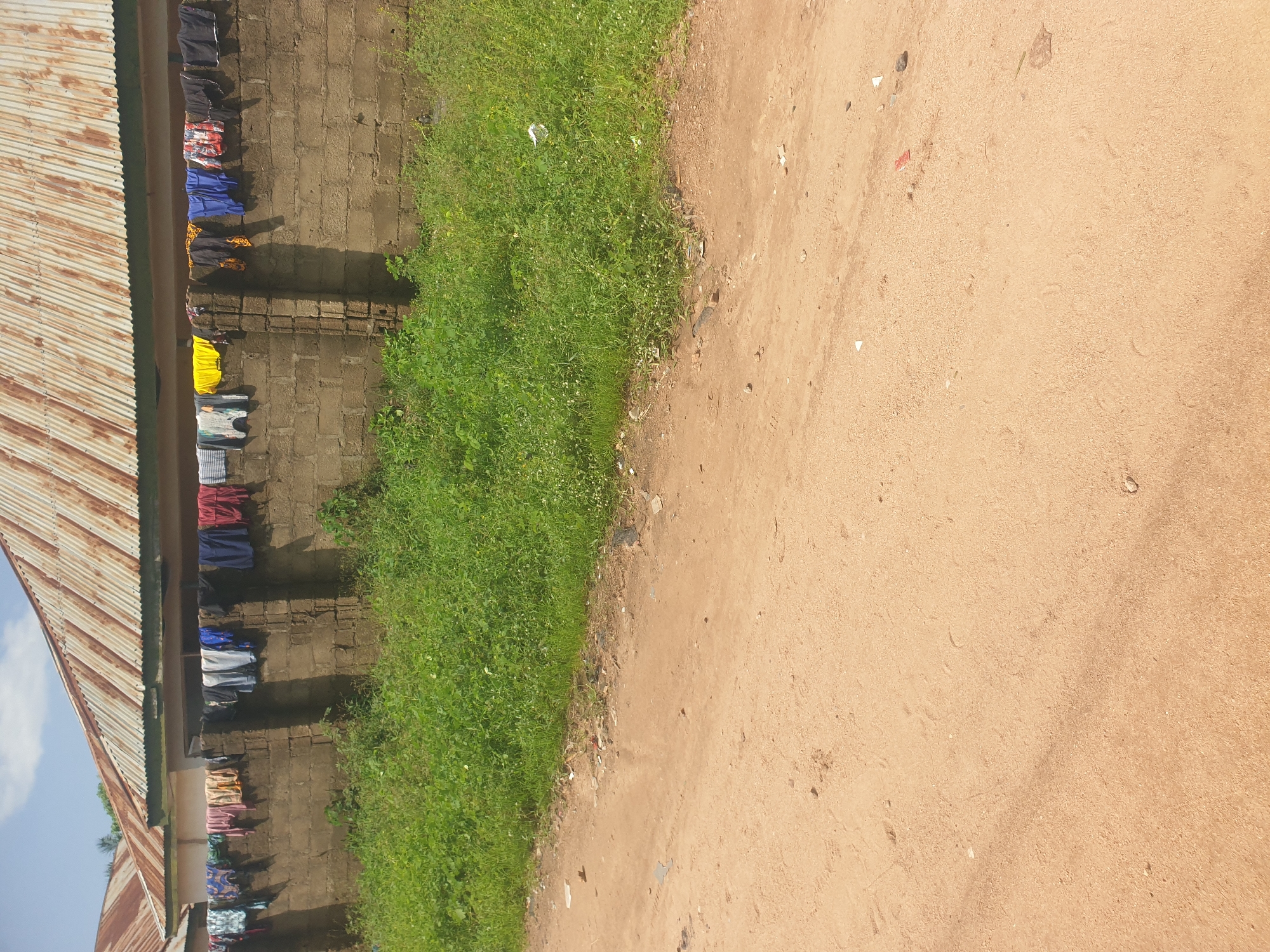 In Jalingo, Nigeria, a weathered, corrugated metal roof covers a building constructed of concrete blocks. A brick wall, also constructed of concrete blocks, runs horizontally across the midground, and clothes are hung on a line stretched across its top. The clothing items include a variety of colors and types, such as shirts, pants, and what appear to be undergarments. In front of the wall, a patch of dense, green vegetation grows, with some small white flowers visible. To the left of the vegetation, a dirt road with a sandy texture occupies the foreground, exhibiting some scattered debris. The sky above is partly cloudy.