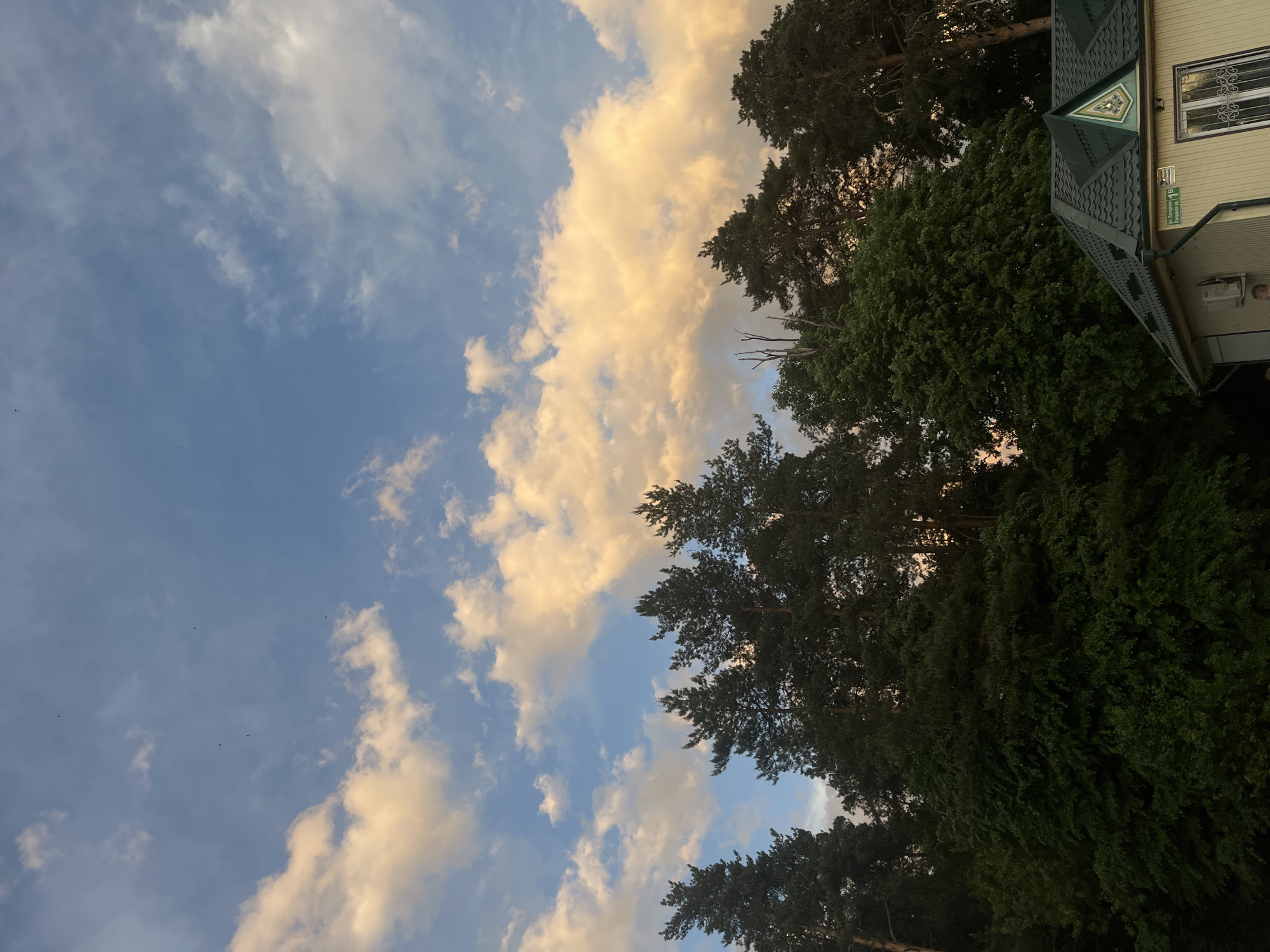 The image shows a view looking upwards, featuring a blue sky with scattered white clouds. Along the right side of the frame, there are trees with green foliage and a portion of a building. The building is light-colored, with windows, a green roof, and what appears to be a sign that reads "ул. Кирова, д. 15." The location is Васильево, Russia. There are no people visible in the image.