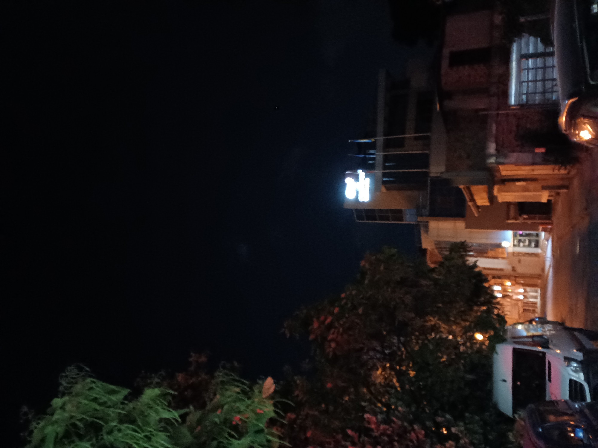 The image depicts an urban scene at night in Plovdiv, Bulgaria. The foreground is dominated by dark foliage, with hints of green and reddish leaves illuminated by artificial lights. Behind the foliage, a white van is partially visible, suggesting a street or parking area.
Further in the background, a building is illuminated with neon lights. A prominent sign on the building features a stylized blue neon letter "H". The building itself appears to be multi-story, with visible windows, some of which are barred, suggesting a potential commercial or residential establishment. The overall lighting suggests it is nighttime, with artificial light sources casting reflections and illuminating parts of the scene. The weather appears to be clear, as there are no visible signs of rain or fog. The scene conveys a sense of urban nightlife or a business operating after dark. No people are clearly visible in the image.