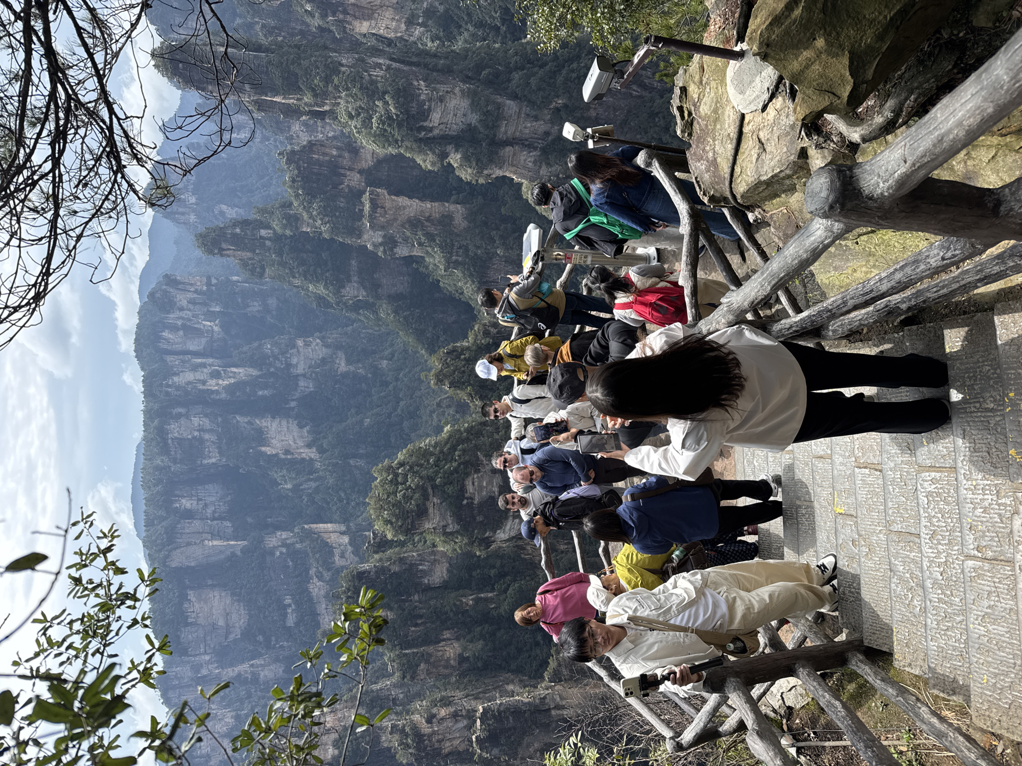 The image displays an elevated outdoor viewing platform and descending stone steps within a mountainous landscape, specified as being in the city of Luoguta, China. Approximately 20 individuals, appearing to be tourists, are present on the platform and steps.
The environment is characterized by numerous towering, steep-sided rock pillars and formations, heavily covered in dense green vegetation, extending into the distance under a partly cloudy sky. The foreground features a rustic wooden railing, constructed from natural branches, bordering the stone steps and viewing areas. Exposed rock is visible along the edges of the platform.
Individuals on the platform and steps are primarily observed looking out at the panoramic mountain scenery. Actions include observing, walking, and photography. In the lower left, a person wearing a light-colored jacket and beige pants holds a smartphone attached to a selfie stick or gimbal. Further down the steps, a person in a white top and black pants is seen from behind, taking a photograph with a vertically oriented smartphone. Other individuals, dressed in casual clothing such as jackets, hoodies, and t-shirts, stand or lean against the railings. A woman in a pink top leans against a railing in the mid-ground.
Objects present include the wooden railings, the stone steps, a white information panel or coin-operated telescope with a red sign positioned near a group of people, and two gray surveillance cameras mounted on poles on the right side of the platform. Several individuals are carrying backpacks of various colors, including red, gray, and green. Tree branches with green leaves partially obscure the upper left corner, while bare branches are visible in the upper right.