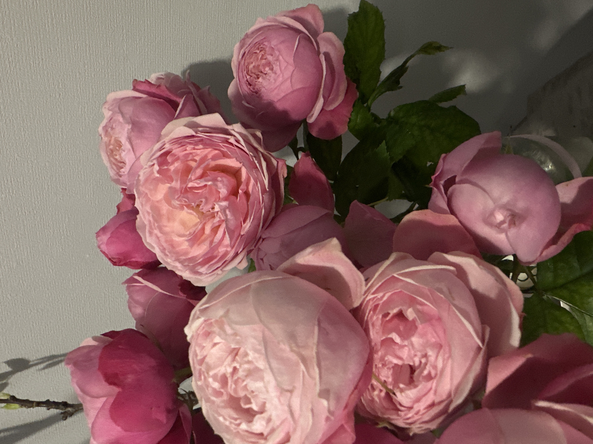 A close-up shot reveals a bouquet of pink roses against a neutral, light grey wall. The roses, in various stages of bloom, fill most of the frame. Some have fully opened, showcasing their intricate petal arrangements, while others are tightly closed buds. Green leaves are interspersed among the flowers. The lighting is soft, creating shadows that highlight the texture of the petals and the wall. There are no people visible in the image. There is no information available in the image to relate to the city of Kazan, Russia.