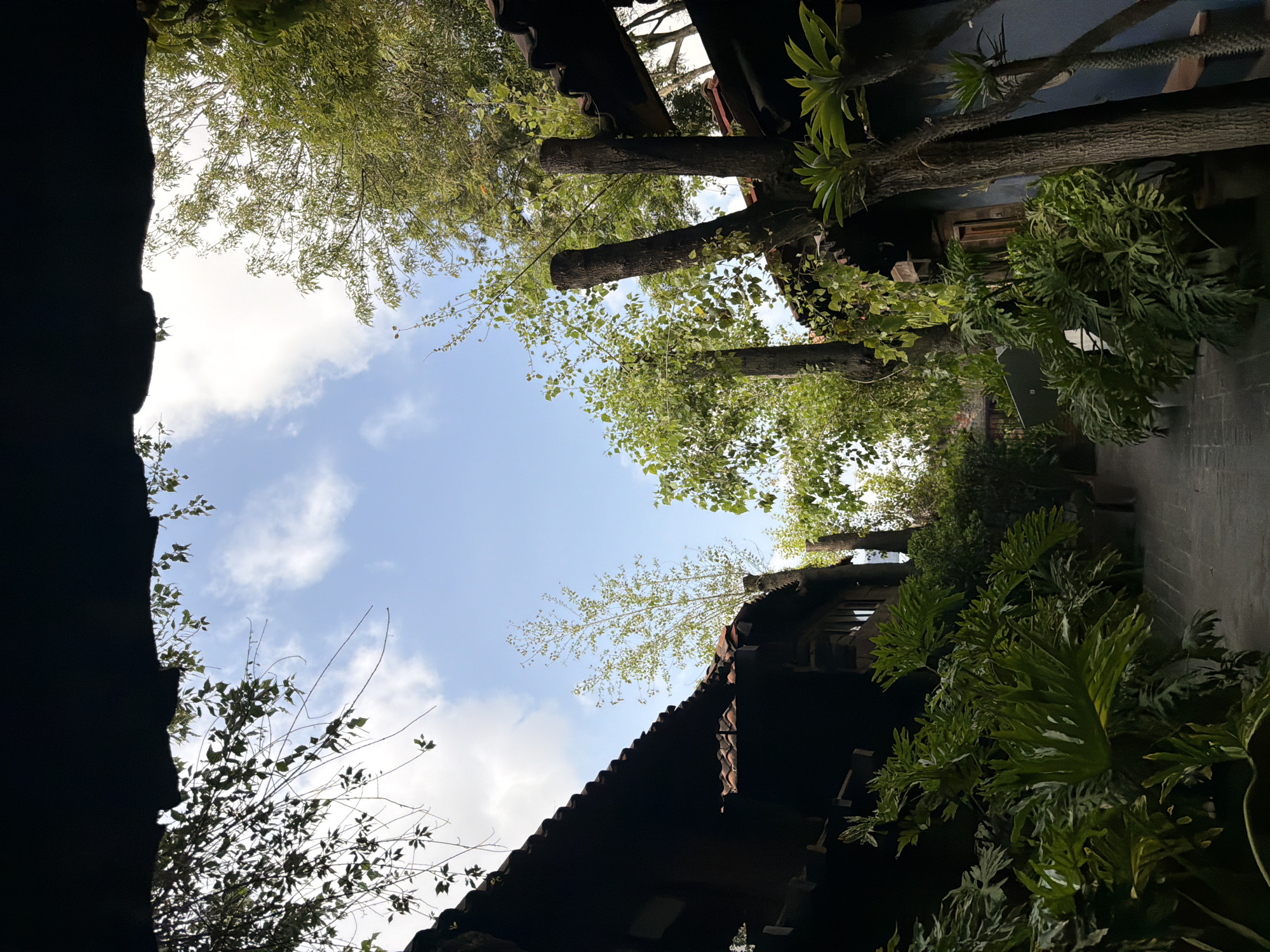 The image shows a view looking upwards in an outdoor courtyard. The sky is visible, with some scattered clouds. The surrounding structures are dark and appear to be buildings with roofs. There are trees and other greenery interspersed throughout the scene. The scene appears to be in Puebla, Mexico. The photograph captures a candid view of architecture and nature.
