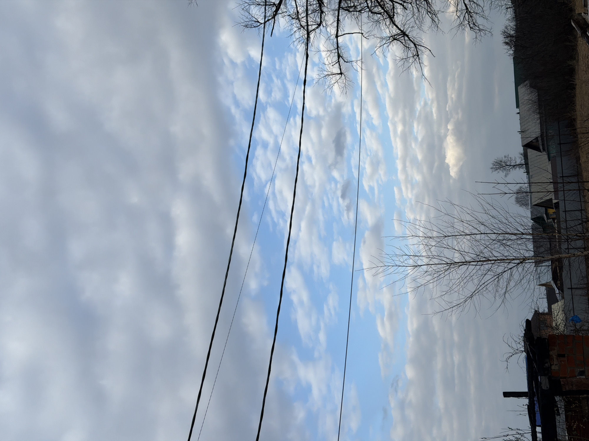 The image depicts an outdoor, rural or suburban landscape under a partially cloudy sky. When correctly oriented (rotated 90 degrees clockwise from its current display), the upper portion of the frame is dominated by a sky featuring patches of clear blue interspersed with elongated, layered white and grey clouds.
Several dark, thin lines, likely power or utility cables, stretch across the sky from left to right. Bare tree branches, devoid of leaves, extend into the frame from the upper left and upper right corners, and another leafless tree stands in the mid-ground on the right side. These trees suggest a season of late autumn, winter, or early spring.
The lower right section of the image reveals a glimpse of a settlement. Silhouettes of various buildings, possibly houses, with visible roofs and fences, populate the distant background. In the immediate foreground on the right, there is a visible brick structure, possibly a damaged building or part of a construction, with some dark, burnt-looking elements or debris.
No human activity or specific event is taking place. The lighting suggests it is daytime, with soft, diffused light, possibly early morning or late afternoon. The scene conveys a quiet, perhaps somewhat stark, atmosphere. There is no visible text in the image. The setting is consistent with a location such as Chaikovsky, Russia, which often features mixed rural/residential areas.