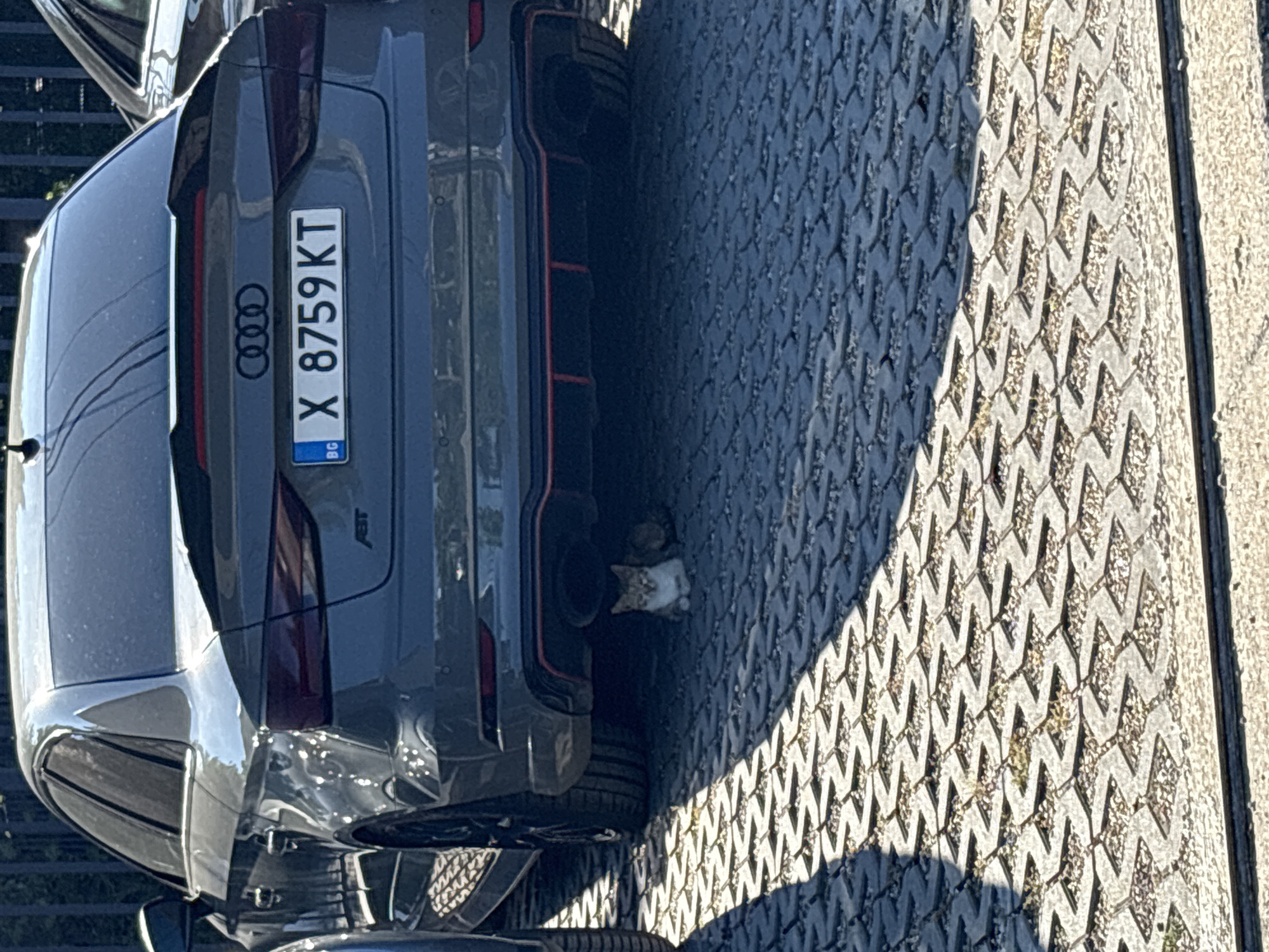 A gray Audi A3 sedan, license plate X 8759 KT, is parked on a permeable paver surface in Varna, Bulgaria. The car has tinted windows and a spoiler. A small cat is nestled underneath the rear bumper of the car, seeking shade. The sun casts a shadow of the car across the pavers. The environment appears to be an outdoor parking lot.
