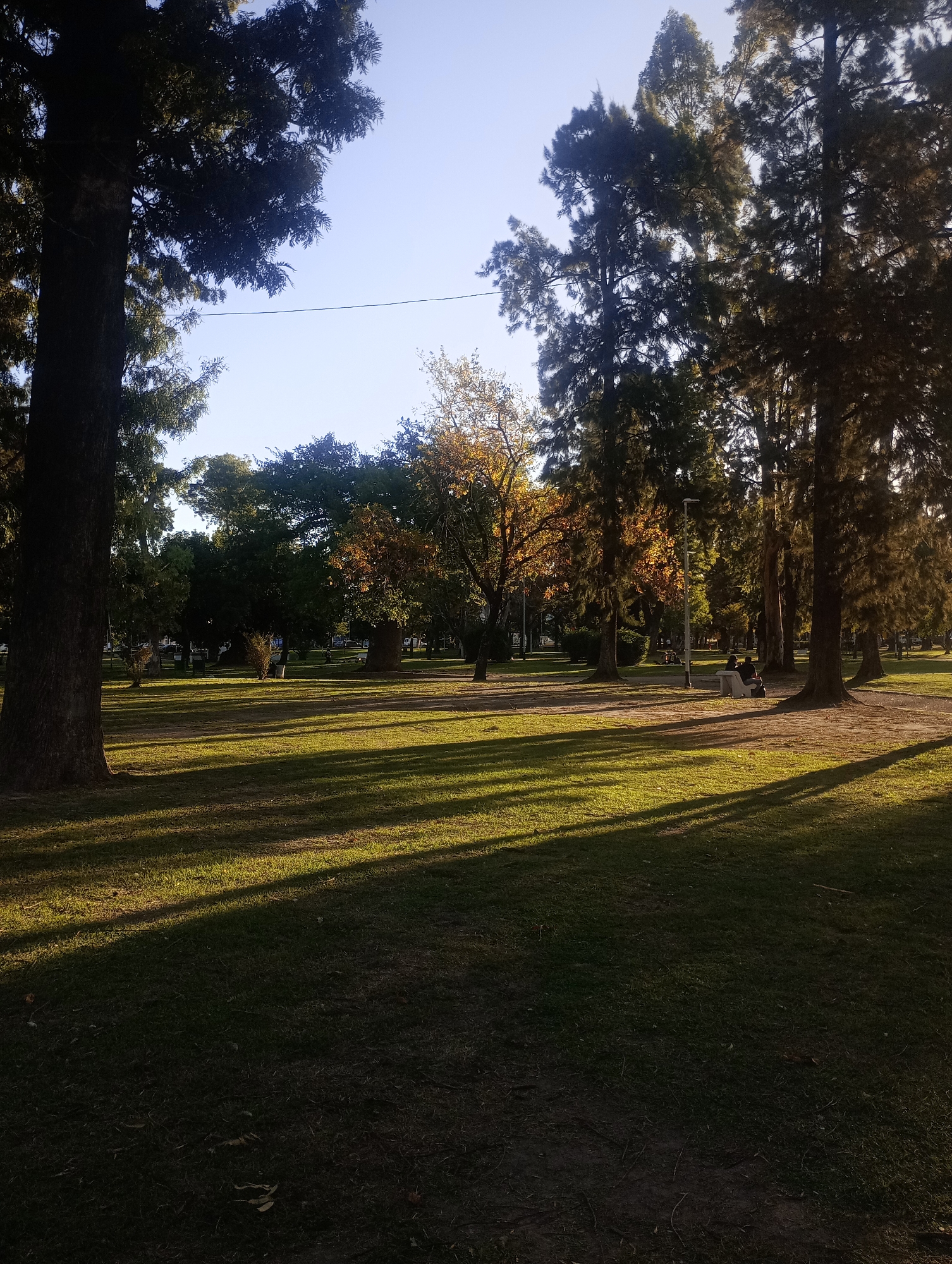This image depicts a serene park scene in Villa Domínico, Argentina, captured during the late afternoon or early evening. The sun, low in the sky, casts long, distinct shadows from numerous tall trees across a grassy expanse. Patches of the lawn are brightly illuminated by the golden light, contrasting sharply with the shadowed areas.
The park is densely populated with mature trees, some with thick, dark trunks silhouetted against the bright sky, and others in the mid-ground displaying vibrant autumn colors of yellow and orange amidst green foliage. A clear, light blue sky is visible above the tree line, with a faint, thin horizontal line, possibly a utility wire, traversing the upper left portion of the frame.
In the mid-ground to the right, two individuals are seated on a light-colored park bench, positioned beside a lamppost. Their forms are partially obscured by shadow, suggesting they are relaxing or enjoying the tranquil environment. The ground consists mainly of well-maintained grass, with some areas appearing darker and more worn. The overall atmosphere is peaceful and natural, highlighting the interplay of light and shadow as the day concludes. No visible text is present in the image.