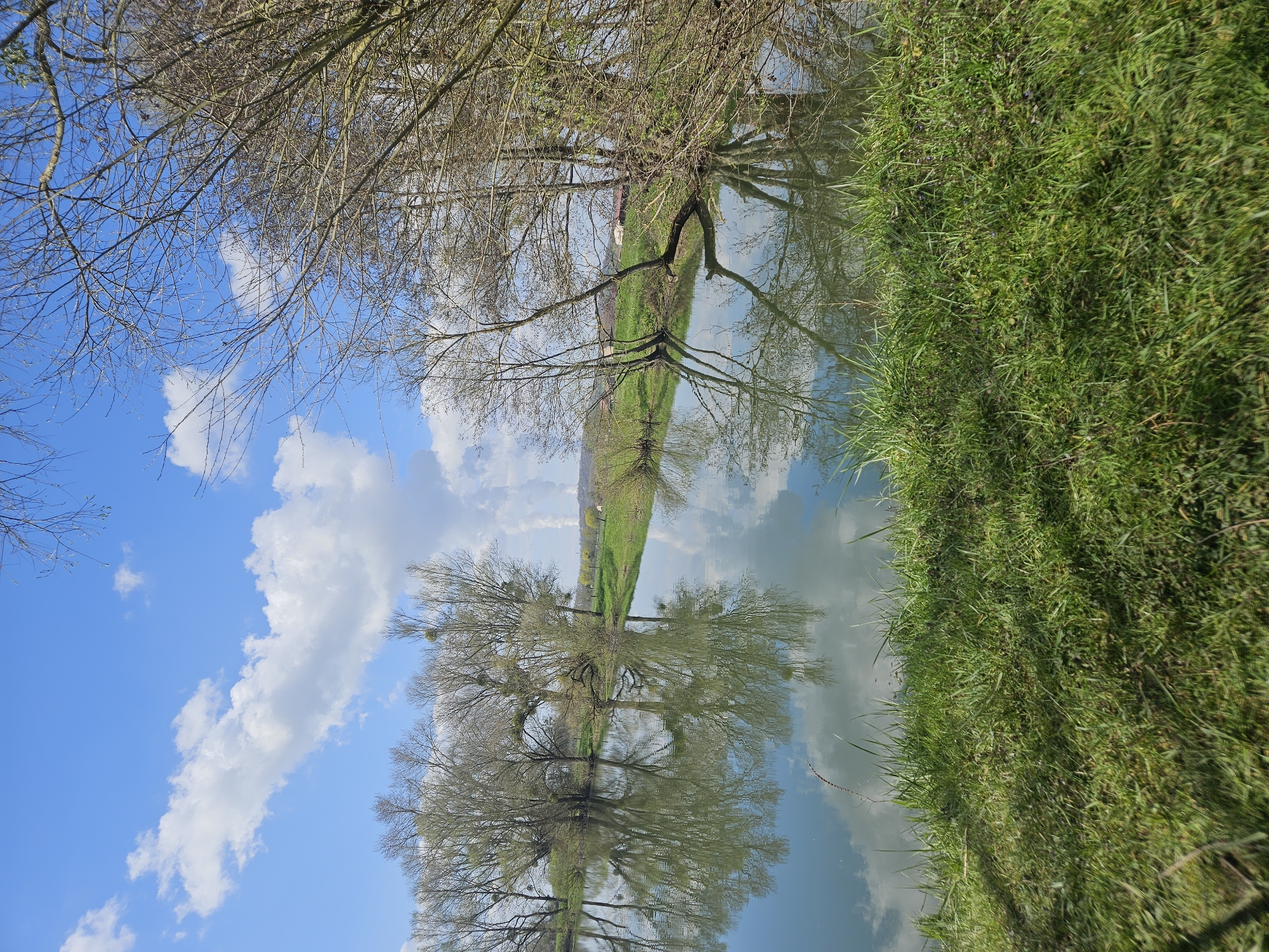 The image depicts an upside-down view of a landscape in Gavisse, France. The sky, adorned with scattered clouds, occupies what appears to be the lower portion of the image. Bare trees and their reflections are visible in a body of water, likely a pond or a river. Lush green vegetation lines the water's edge, creating a boundary between the aquatic and terrestrial environments. A thin strip of land with greenery is visible in the center of the image where the tree reflections intersect.